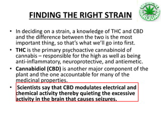 FINDING THE RIGHT STRAIN
• In deciding on a strain, a knowledge of THC and CBD
and the difference between the two is the most
important thing, so that’s what we’ll go into first.
• THC is the primary psychoactive cannabinoid of
cannabis – responsible for the high as well as being
anti-inflammatory, neuroprotective, and antiemetic.
• Cannabidiol (CBD) is another major component of the
plant and the one accountable for many of the
medicinal properties.
• Scientists say that CBD modulates electrical and
chemical activity thereby quieting the excessive
activity in the brain that causes seizures.
 