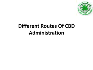Different Routes Of CBD
Administration
 