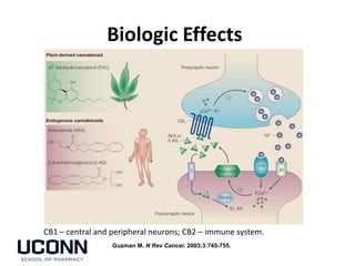 Biologic Effects
Guzman M. N Rev Cancer. 2003;3:745-755.
CB1 – central and peripheral neurons; CB2 – immune system.
 