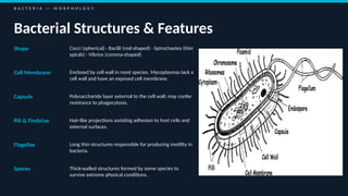 Comprehensive Overview of Medically Important Microorganisms ...