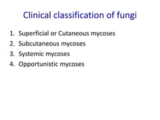 Clinical classification of fungi
1. Superficial or Cutaneous mycoses
2. Subcutaneous mycoses
3. Systemic mycoses
4. Opportunistic mycoses
 