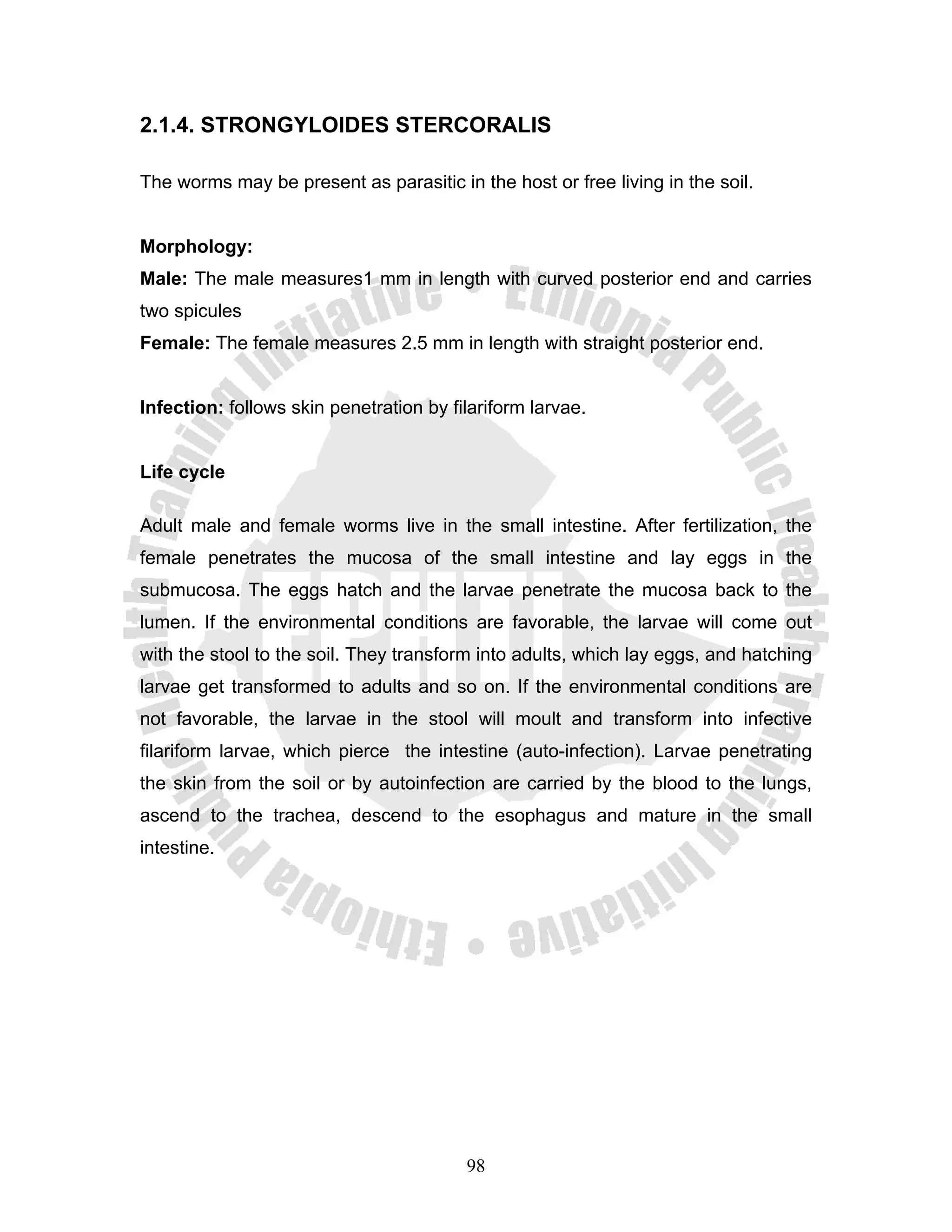2.1.4. STRONGYLOIDES STERCORALIS

The worms may be present as parasitic in the host or free living in the soil.


Morphology:
Male: The male measures1 mm in length with curved posterior end and carries
two spicules
Female: The female measures 2.5 mm in length with straight posterior end.


Infection: follows skin penetration by filariform larvae.


Life cycle

Adult male and female worms live in the small intestine. After fertilization, the
female penetrates the mucosa of the small intestine and lay eggs in the
submucosa. The eggs hatch and the larvae penetrate the mucosa back to the
lumen. If the environmental conditions are favorable, the larvae will come out
with the stool to the soil. They transform into adults, which lay eggs, and hatching
larvae get transformed to adults and so on. If the environmental conditions are
not favorable, the larvae in the stool will moult and transform into infective
filariform larvae, which pierce the intestine (auto-infection). Larvae penetrating
the skin from the soil or by autoinfection are carried by the blood to the lungs,
ascend to the trachea, descend to the esophagus and mature in the small
intestine.




                                         98
 