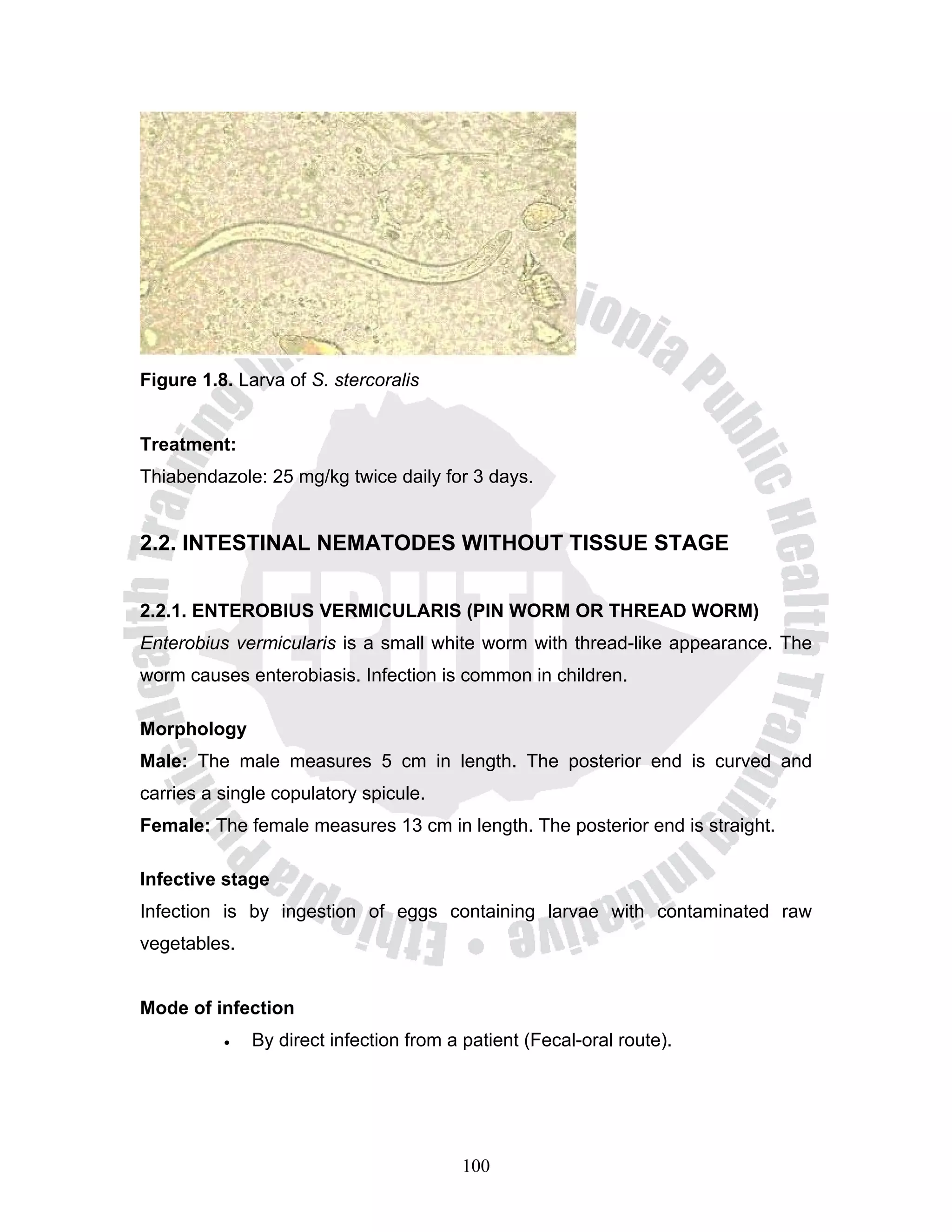 Figure 1.8. Larva of S. stercoralis


Treatment:
Thiabendazole: 25 mg/kg twice daily for 3 days.


2.2. INTESTINAL NEMATODES WITHOUT TISSUE STAGE


2.2.1. ENTEROBIUS VERMICULARIS (PIN WORM OR THREAD WORM)
Enterobius vermicularis is a small white worm with thread-like appearance. The
worm causes enterobiasis. Infection is common in children.

Morphology
Male: The male measures 5 cm in length. The posterior end is curved and
carries a single copulatory spicule.
Female: The female measures 13 cm in length. The posterior end is straight.

Infective stage
Infection is by ingestion of eggs containing larvae with contaminated raw
vegetables.


Mode of infection
          •   By direct infection from a patient (Fecal-oral route).




                                        100
 