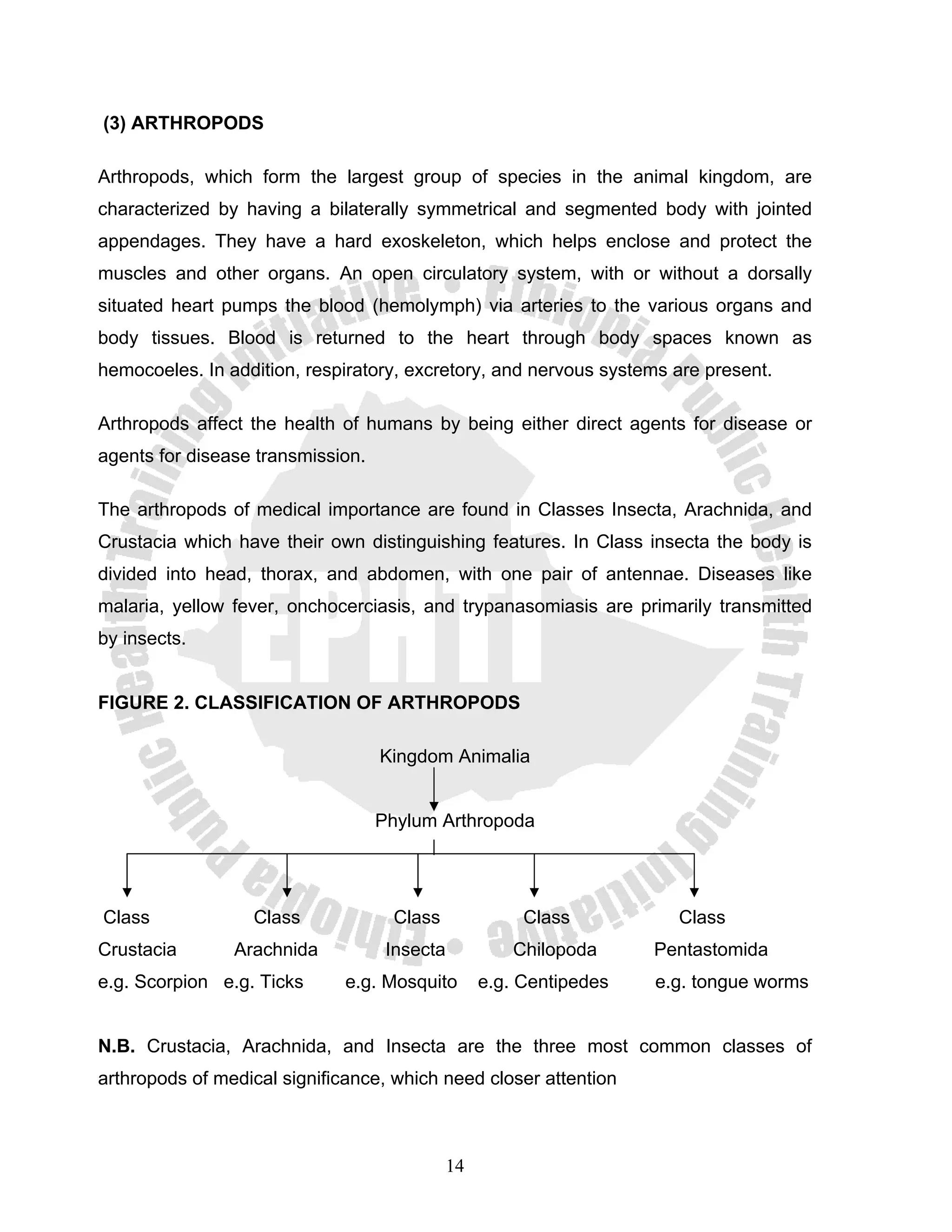 (3) ARTHROPODS

Arthropods, which form the largest group of species in the animal kingdom, are
characterized by having a bilaterally symmetrical and segmented body with jointed
appendages. They have a hard exoskeleton, which helps enclose and protect the
muscles and other organs. An open circulatory system, with or without a dorsally
situated heart pumps the blood (hemolymph) via arteries to the various organs and
body tissues. Blood is returned to the heart through body spaces known as
hemocoeles. In addition, respiratory, excretory, and nervous systems are present.

Arthropods affect the health of humans by being either direct agents for disease or
agents for disease transmission.

The arthropods of medical importance are found in Classes Insecta, Arachnida, and
Crustacia which have their own distinguishing features. In Class insecta the body is
divided into head, thorax, and abdomen, with one pair of antennae. Diseases like
malaria, yellow fever, onchocerciasis, and trypanasomiasis are primarily transmitted
by insects.


FIGURE 2. CLASSIFICATION OF ARTHROPODS

                                   Kingdom Animalia


                                   Phylum Arthropoda




Class             Class             Class               Class          Class
Crustacia       Arachnida           Insecta            Chilopoda     Pentastomida
e.g. Scorpion e.g. Ticks      e.g. Mosquito        e.g. Centipedes   e.g. tongue worms


N.B. Crustacia, Arachnida, and Insecta are the three most common classes of
arthropods of medical significance, which need closer attention



                                              14
 