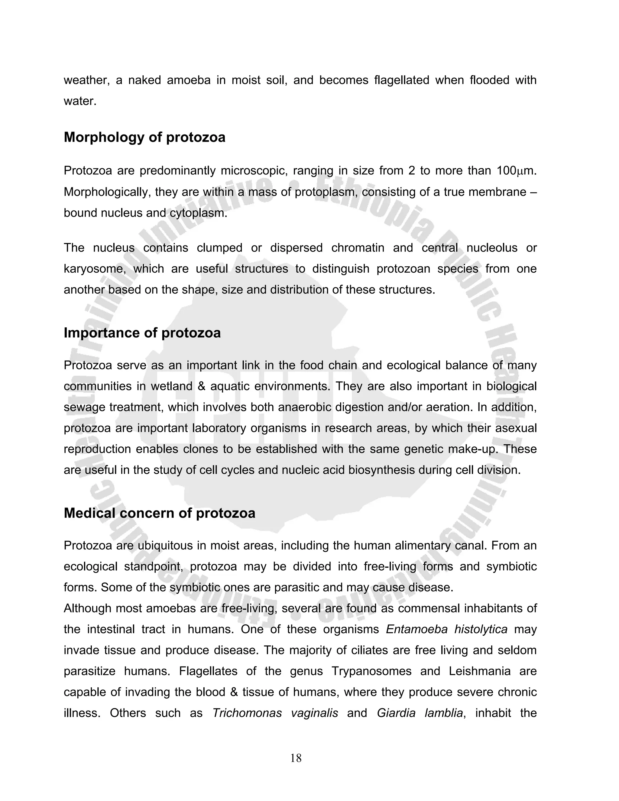 weather, a naked amoeba in moist soil, and becomes flagellated when flooded with
water.


Morphology of protozoa

Protozoa are predominantly microscopic, ranging in size from 2 to more than 100μm.
Morphologically, they are within a mass of protoplasm, consisting of a true membrane –
bound nucleus and cytoplasm.

The nucleus contains clumped or dispersed chromatin and central nucleolus or
karyosome, which are useful structures to distinguish protozoan species from one
another based on the shape, size and distribution of these structures.


Importance of protozoa

Protozoa serve as an important link in the food chain and ecological balance of many
communities in wetland & aquatic environments. They are also important in biological
sewage treatment, which involves both anaerobic digestion and/or aeration. In addition,
protozoa are important laboratory organisms in research areas, by which their asexual
reproduction enables clones to be established with the same genetic make-up. These
are useful in the study of cell cycles and nucleic acid biosynthesis during cell division.


Medical concern of protozoa

Protozoa are ubiquitous in moist areas, including the human alimentary canal. From an
ecological standpoint, protozoa may be divided into free-living forms and symbiotic
forms. Some of the symbiotic ones are parasitic and may cause disease.
Although most amoebas are free-living, several are found as commensal inhabitants of
the intestinal tract in humans. One of these organisms Entamoeba histolytica may
invade tissue and produce disease. The majority of ciliates are free living and seldom
parasitize humans. Flagellates of the genus Trypanosomes and Leishmania are
capable of invading the blood & tissue of humans, where they produce severe chronic
illness. Others such as Trichomonas vaginalis and Giardia lamblia, inhabit the


                                            18
 