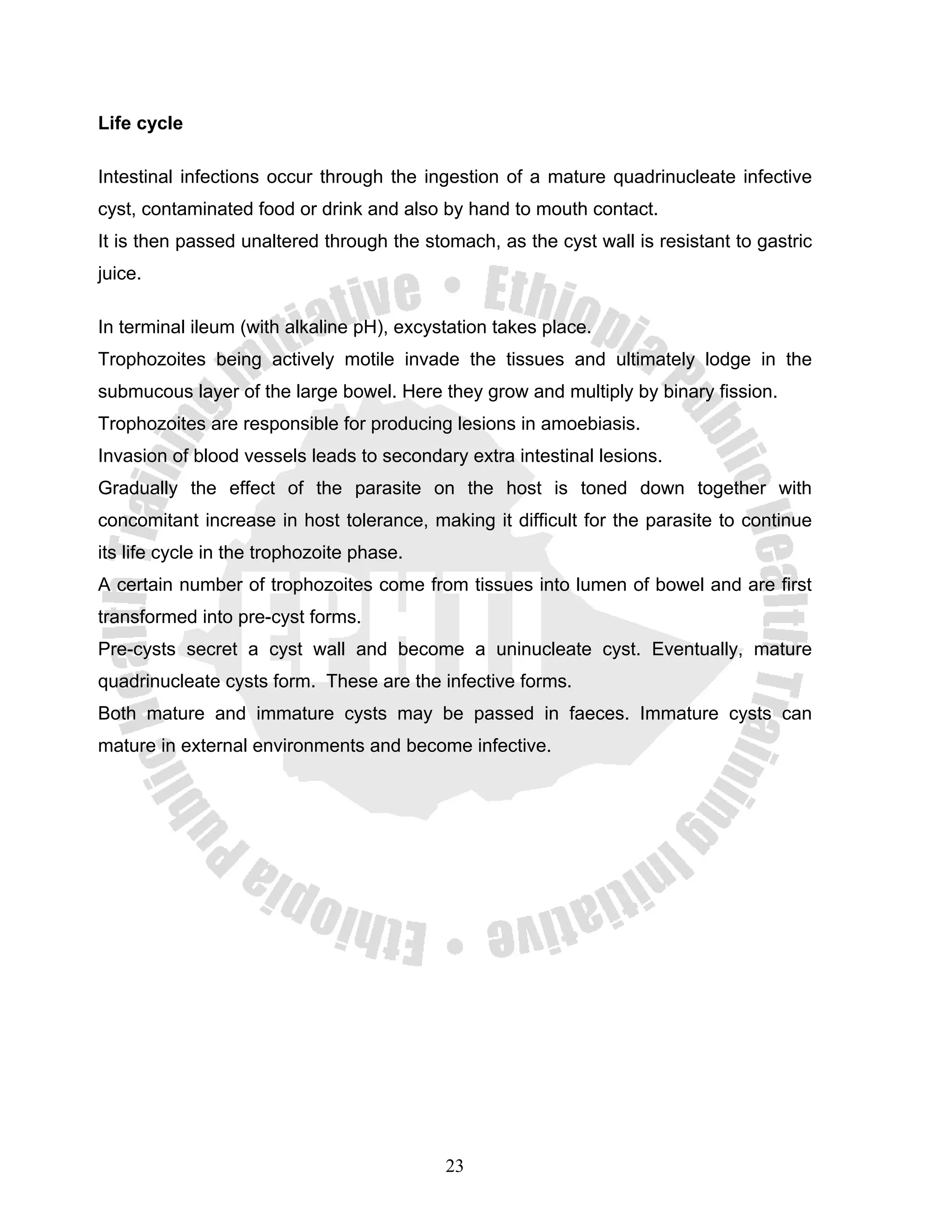 Life cycle

Intestinal infections occur through the ingestion of a mature quadrinucleate infective
cyst, contaminated food or drink and also by hand to mouth contact.
It is then passed unaltered through the stomach, as the cyst wall is resistant to gastric
juice.

In terminal ileum (with alkaline pH), excystation takes place.
Trophozoites being actively motile invade the tissues and ultimately lodge in the
submucous layer of the large bowel. Here they grow and multiply by binary fission.
Trophozoites are responsible for producing lesions in amoebiasis.
Invasion of blood vessels leads to secondary extra intestinal lesions.
Gradually the effect of the parasite on the host is toned down together with
concomitant increase in host tolerance, making it difficult for the parasite to continue
its life cycle in the trophozoite phase.
A certain number of trophozoites come from tissues into lumen of bowel and are first
transformed into pre-cyst forms.
Pre-cysts secret a cyst wall and become a uninucleate cyst. Eventually, mature
quadrinucleate cysts form. These are the infective forms.
Both mature and immature cysts may be passed in faeces. Immature cysts can
mature in external environments and become infective.




                                           23
 