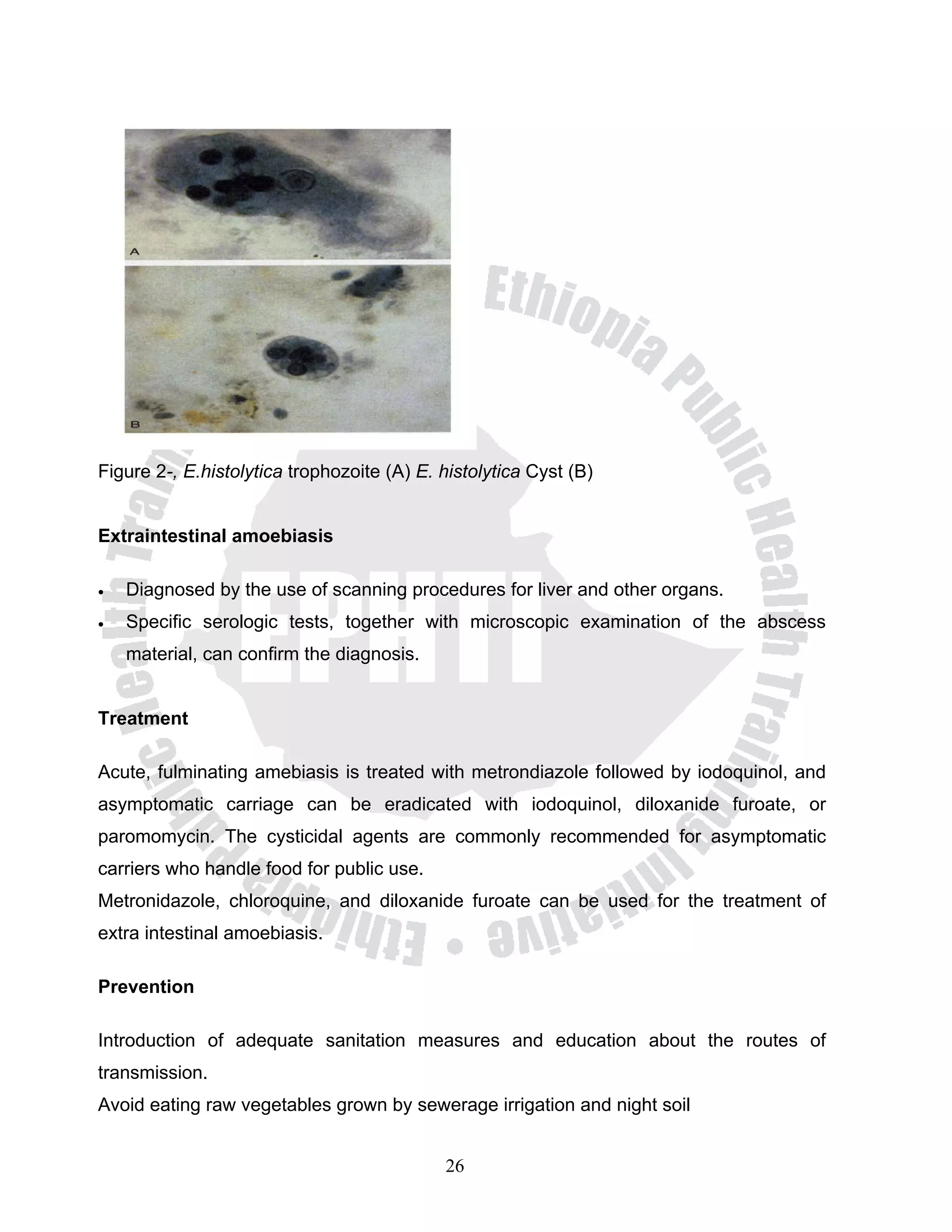 Figure 2-, E.histolytica trophozoite (A) E. histolytica Cyst (B)


Extraintestinal amoebiasis

•   Diagnosed by the use of scanning procedures for liver and other organs.
•   Specific serologic tests, together with microscopic examination of the abscess
    material, can confirm the diagnosis.


Treatment

Acute, fulminating amebiasis is treated with metrondiazole followed by iodoquinol, and
asymptomatic carriage can be eradicated with iodoquinol, diloxanide furoate, or
paromomycin. The cysticidal agents are commonly recommended for asymptomatic
carriers who handle food for public use.
Metronidazole, chloroquine, and diloxanide furoate can be used for the treatment of
extra intestinal amoebiasis.

Prevention

Introduction of adequate sanitation measures and education about the routes of
transmission.
Avoid eating raw vegetables grown by sewerage irrigation and night soil


                                            26
 