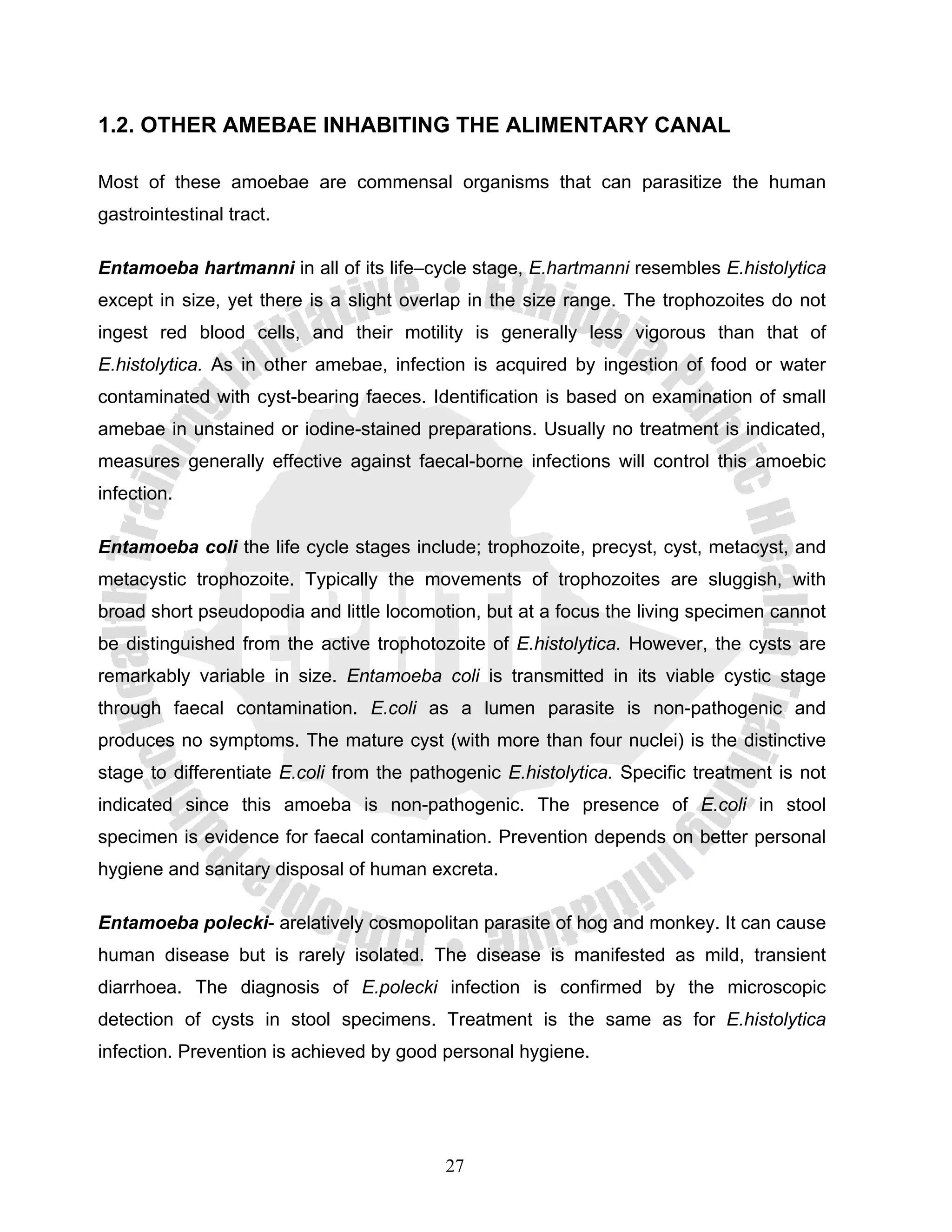 1.2. OTHER AMEBAE INHABITING THE ALIMENTARY CANAL

Most of these amoebae are commensal organisms that can parasitize the human
gastrointestinal tract.

Entamoeba hartmanni in all of its life–cycle stage, E.hartmanni resembles E.histolytica
except in size, yet there is a slight overlap in the size range. The trophozoites do not
ingest red blood cells, and their motility is generally less vigorous than that of
E.histolytica. As in other amebae, infection is acquired by ingestion of food or water
contaminated with cyst-bearing faeces. Identification is based on examination of small
amebae in unstained or iodine-stained preparations. Usually no treatment is indicated,
measures generally effective against faecal-borne infections will control this amoebic
infection.

Entamoeba coli the life cycle stages include; trophozoite, precyst, cyst, metacyst, and
metacystic trophozoite. Typically the movements of trophozoites are sluggish, with
broad short pseudopodia and little locomotion, but at a focus the living specimen cannot
be distinguished from the active trophotozoite of E.histolytica. However, the cysts are
remarkably variable in size. Entamoeba coli is transmitted in its viable cystic stage
through faecal contamination. Ε.coli as a lumen parasite is non-pathogenic and
produces no symptoms. The mature cyst (with more than four nuclei) is the distinctive
stage to differentiate E.coli from the pathogenic E.histolytica. Specific treatment is not
indicated since this amoeba is non-pathogenic. The presence of E.coli in stool
specimen is evidence for faecal contamination. Prevention depends on better personal
hygiene and sanitary disposal of human excreta.

Entamoeba polecki- arelatively cosmopolitan parasite of hog and monkey. It can cause
human disease but is rarely isolated. The disease is manifested as mild, transient
diarrhoea. The diagnosis of E.polecki infection is confirmed by the microscopic
detection of cysts in stool specimens. Treatment is the same as for E.histolytica
infection. Prevention is achieved by good personal hygiene.




                                          27
 