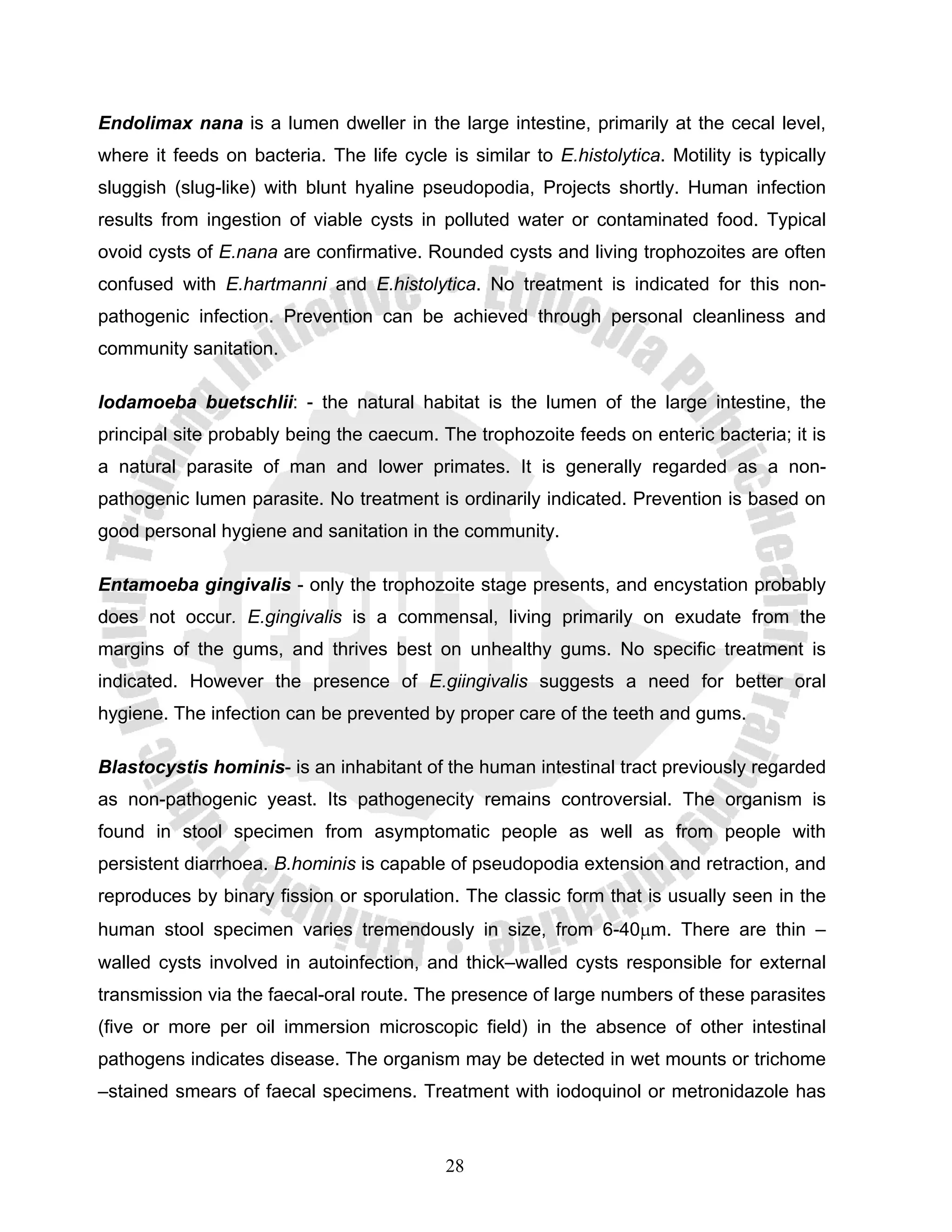 Endolimax nana is a lumen dweller in the large intestine, primarily at the cecal level,
where it feeds on bacteria. The life cycle is similar to E.histolytica. Motility is typically
sluggish (slug-like) with blunt hyaline pseudopodia, Projects shortly. Human infection
results from ingestion of viable cysts in polluted water or contaminated food. Typical
ovoid cysts of E.nana are confirmative. Rounded cysts and living trophozoites are often
confused with E.hartmanni and E.histolytica. No treatment is indicated for this non-
pathogenic infection. Prevention can be achieved through personal cleanliness and
community sanitation.

Iodamoeba buetschlii: - the natural habitat is the lumen of the large intestine, the
principal site probably being the caecum. The trophozoite feeds on enteric bacteria; it is
a natural parasite of man and lower primates. It is generally regarded as a non-
pathogenic lumen parasite. No treatment is ordinarily indicated. Prevention is based on
good personal hygiene and sanitation in the community.

Entamoeba gingivalis - only the trophozoite stage presents, and encystation probably
does not occur. E.gingivalis is a commensal, living primarily on exudate from the
margins of the gums, and thrives best on unhealthy gums. No specific treatment is
indicated. However the presence of E.giingivalis suggests a need for better oral
hygiene. The infection can be prevented by proper care of the teeth and gums.

Blastocystis hominis- is an inhabitant of the human intestinal tract previously regarded
as non-pathogenic yeast. Its pathogenecity remains controversial. The organism is
found in stool specimen from asymptomatic people as well as from people with
persistent diarrhoea. B.hominis is capable of pseudopodia extension and retraction, and
reproduces by binary fission or sporulation. The classic form that is usually seen in the
human stool specimen varies tremendously in size, from 6-40μm. There are thin –
walled cysts involved in autoinfection, and thick–walled cysts responsible for external
transmission via the faecal-oral route. The presence of large numbers of these parasites
(five or more per oil immersion microscopic field) in the absence of other intestinal
pathogens indicates disease. The organism may be detected in wet mounts or trichome
–stained smears of faecal specimens. Treatment with iodoquinol or metronidazole has


                                            28
 