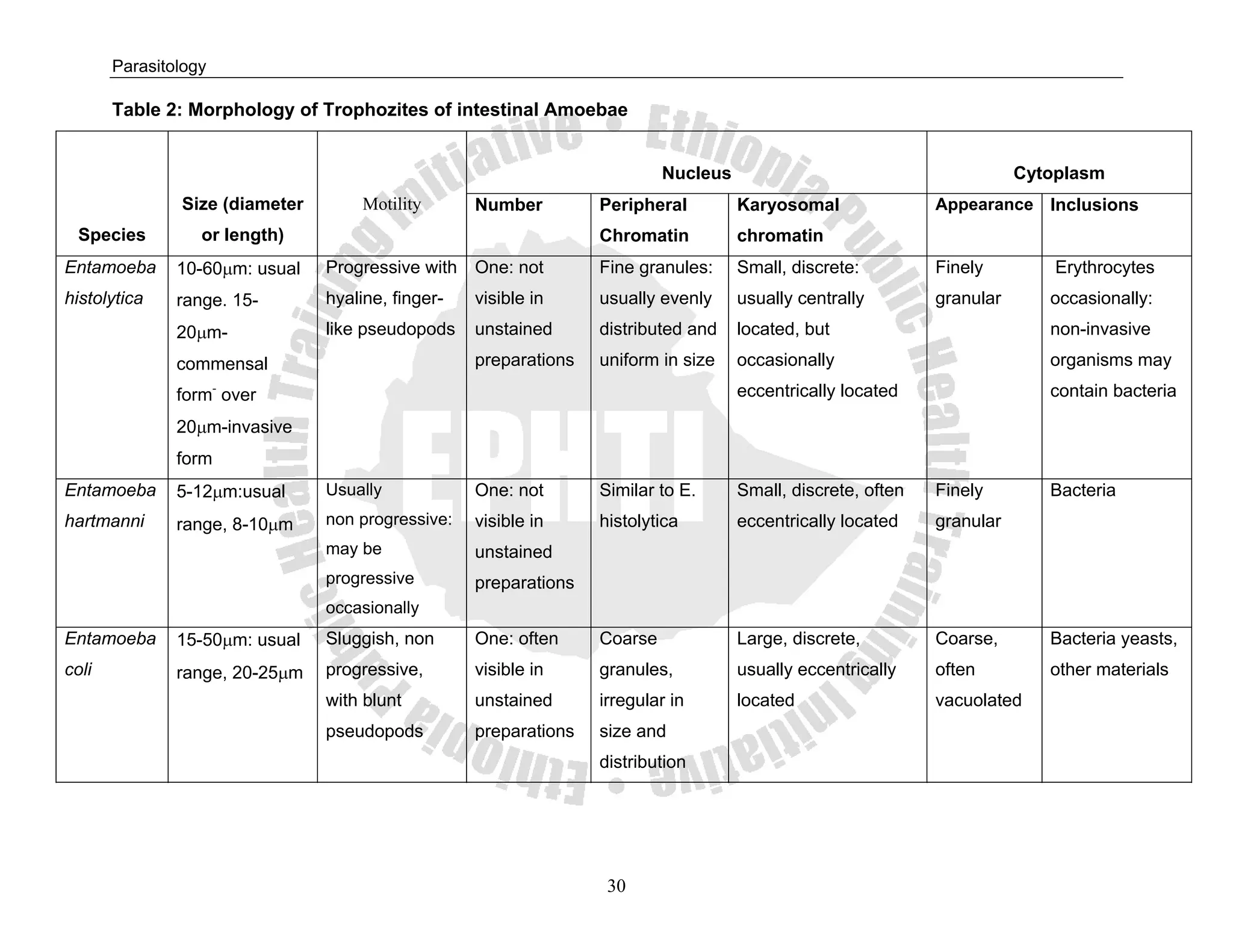 Parasitology

       Table 2: Morphology of Trophozites of intestinal Amoebae


                                                                           Nucleus                                       Cytoplasm
               Size (diameter        Motility      Number         Peripheral         Karyosomal               Appearance Inclusions
  Species         or length)                                      Chromatin          chromatin
Entamoeba      10-60μm: usual   Progressive with One: not         Fine granules:     Small, discrete:         Finely         Erythrocytes
histolytica    range. 15-       hyaline, finger-   visible in     usually evenly     usually centrally        granular      occasionally:
               20μm-            like pseudopods    unstained      distributed and    located, but                           non-invasive
               commensal                           preparations   uniform in size    occasionally                           organisms may
               form- over                                                            eccentrically located                  contain bacteria

               20μm-invasive
               form
Entamoeba      5-12μm:usual     Usually            One: not       Similar to E.      Small, discrete, often   Finely        Bacteria
hartmanni      range, 8-10μm    non progressive:   visible in     histolytica        eccentrically located    granular
                                may be             unstained
                                progressive        preparations
                                occasionally
Entamoeba      15-50μm: usual   Sluggish, non      One: often     Coarse             Large, discrete,         Coarse,       Bacteria yeasts,
coli           range, 20-25μm   progressive,       visible in     granules,          usually eccentrically    often         other materials
                                with blunt         unstained      irregular in       located                  vacuolated
                                pseudopods         preparations   size and
                                                                  distribution




                                                                   30
 
