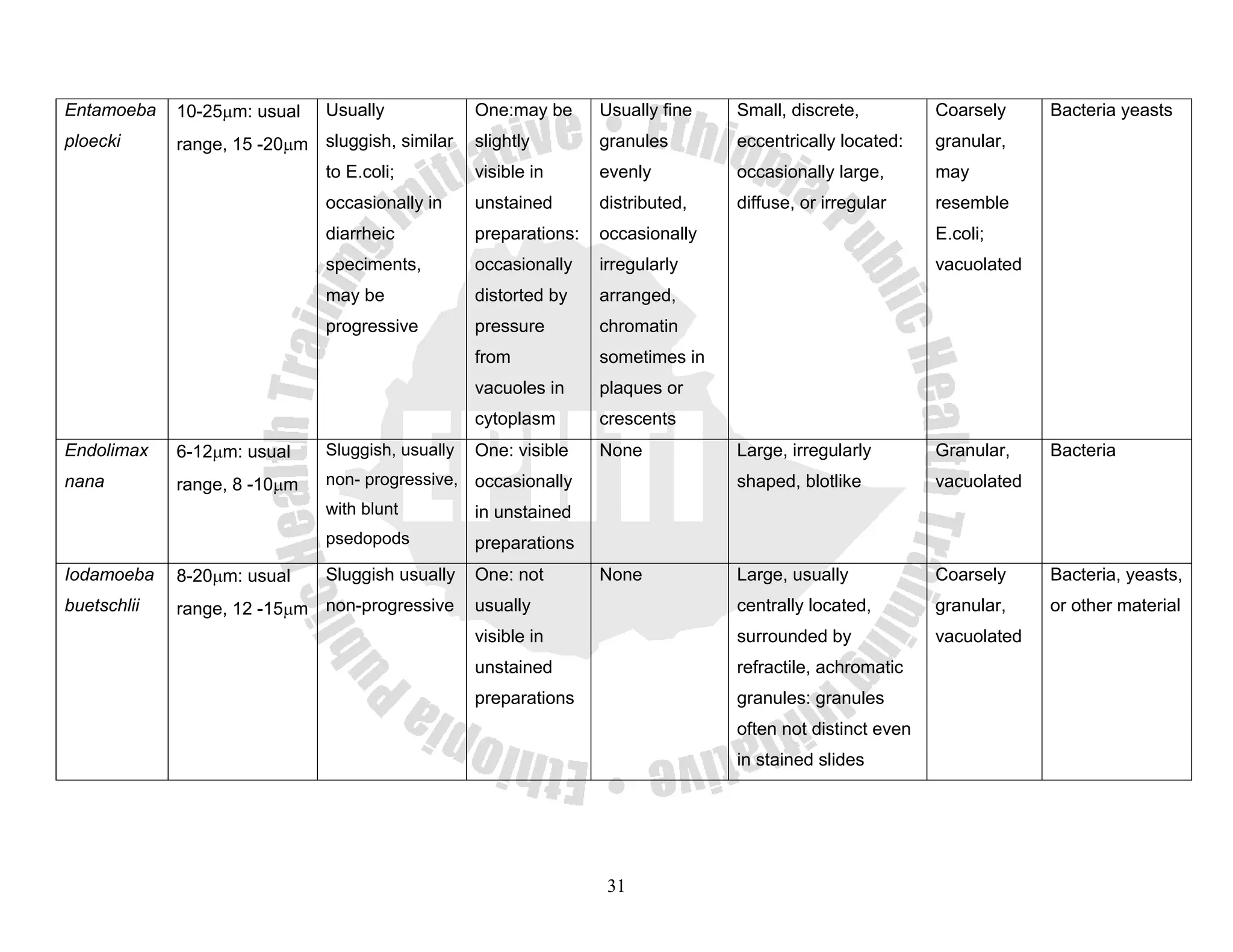 Entamoeba    10-25μm: usual   Usually             One:may be      Usually fine   Small, discrete,          Coarsely     Bacteria yeasts
ploecki      range, 15 -20μm sluggish, similar    slightly        granules       eccentrically located:    granular,
                              to E.coli;          visible in      evenly         occasionally large,       may
                              occasionally in     unstained       distributed,   diffuse, or irregular     resemble
                              diarrheic           preparations:   occasionally                             E.coli;
                              speciments,         occasionally    irregularly                              vacuolated
                              may be              distorted by    arranged,
                              progressive         pressure        chromatin
                                                  from            sometimes in
                                                  vacuoles in     plaques or
                                                  cytoplasm       crescents
Endolimax    6-12μm: usual    Sluggish, usually   One: visible    None           Large, irregularly        Granular,    Bacteria
nana         range, 8 -10μm   non- progressive, occasionally                     shaped, blotlike          vacuolated
                              with blunt          in unstained
                              psedopods           preparations
Iodamoeba    8-20μm: usual    Sluggish usually    One: not        None           Large, usually            Coarsely     Bacteria, yeasts,
buetschlii   range, 12 -15μm non-progressive      usually                        centrally located,        granular,    or other material
                                                  visible in                     surrounded by             vacuolated
                                                  unstained                      refractile, achromatic
                                                  preparations                   granules: granules
                                                                                 often not distinct even
                                                                                 in stained slides




                                                                   31
 