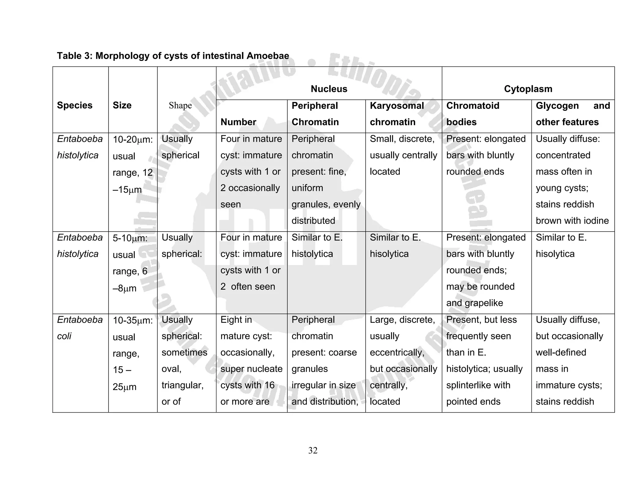 Table 3: Morphology of cysts of intestinal Amoebae


                                                               Nucleus                                           Cytoplasm
Species       Size         Shape                          Peripheral          Karyosomal         Chromatoid           Glycogen        and
                                        Number            Chromatin           chromatin          bodies               other features
Entaboeba     10-20μm: Usually          Four in mature Peripheral             Small, discrete,   Present: elongated   Usually diffuse:
histolytica   usual       spherical     cyst: immature chromatin              usually centrally bars with bluntly     concentrated
              range, 12                 cysts with 1 or   present: fine,      located            rounded ends         mass often in
              –15μm                     2 occasionally    uniform                                                     young cysts;
                                        seen              granules, evenly                                            stains reddish
                                                          distributed                                                 brown with iodine
Entaboeba     5-10μm:     Usually       Four in mature Similar to E.          Similar to E.      Present: elongated   Similar to E.
histolytica   usual       spherical:    cyst: immature histolytica            hisolytica         bars with bluntly    hisolytica
              range, 6                  cysts with 1 or                                          rounded ends;
              –8μm                      2 often seen                                             may be rounded
                                                                                                 and grapelike
Entaboeba     10-35μm: Usually          Eight in          Peripheral          Large, discrete,   Present, but less    Usually diffuse,
coli          usual       spherical:    mature cyst:      chromatin           usually            frequently seen      but occasionally
              range,      sometimes     occasionally,     present: coarse     eccentrically,     than in E.           well-defined
              15 –        oval,         super nucleate granules               but occasionally histolytica; usually   mass in
              25μm        triangular,   cysts with 16     irregular in size   centrally,         splinterlike with    immature cysts;
                          or of         or more are       and distribution,   located            pointed ends         stains reddish




                                                              32
 