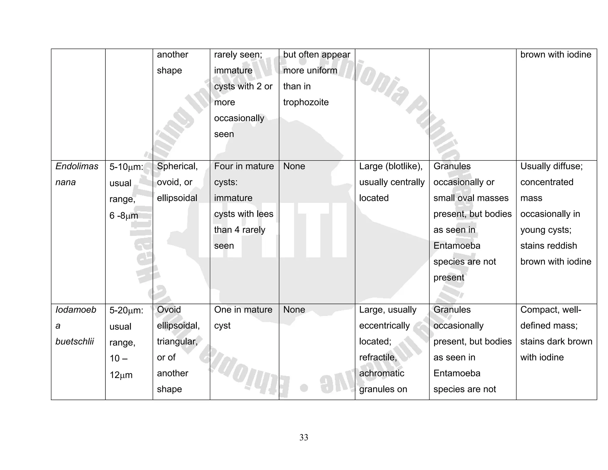 another        rarely seen;      but often appear                                           brown with iodine
                       shape          immature          more uniform
                                      cysts with 2 or   than in
                                      more              trophozoite
                                      occasionally
                                      seen


Endolimas    5-10μm:   Spherical,     Four in mature None                  Large (blotlike),   Granules            Usually diffuse;
nana         usual     ovoid, or      cysts:                               usually centrally occasionally or       concentrated
             range,    ellipsoidal    immature                             located             small oval masses   mass
             6 -8μm                   cysts with lees                                          present, but bodies occasionally in
                                      than 4 rarely                                            as seen in          young cysts;
                                      seen                                                     Entamoeba           stains reddish
                                                                                               species are not     brown with iodine
                                                                                               present


Iodamoeb     5-20μm:   Ovoid          One in mature     None               Large, usually      Granules            Compact, well-
a            usual     ellipsoidal,   cyst                                 eccentrically       occasionally        defined mass;
buetschlii   range,    triangular,                                         located;            present, but bodies stains dark brown
             10 –      or of                                               refractile,         as seen in          with iodine
             12μm      another                                             achromatic          Entamoeba
                       shape                                               granules on         species are not




                                                            33
 