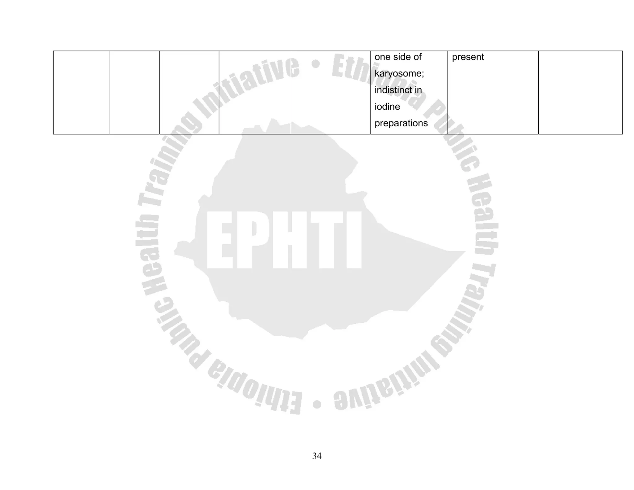 one side of     present
     karyosome;
     indistinct in
     iodine
     preparations




34
 