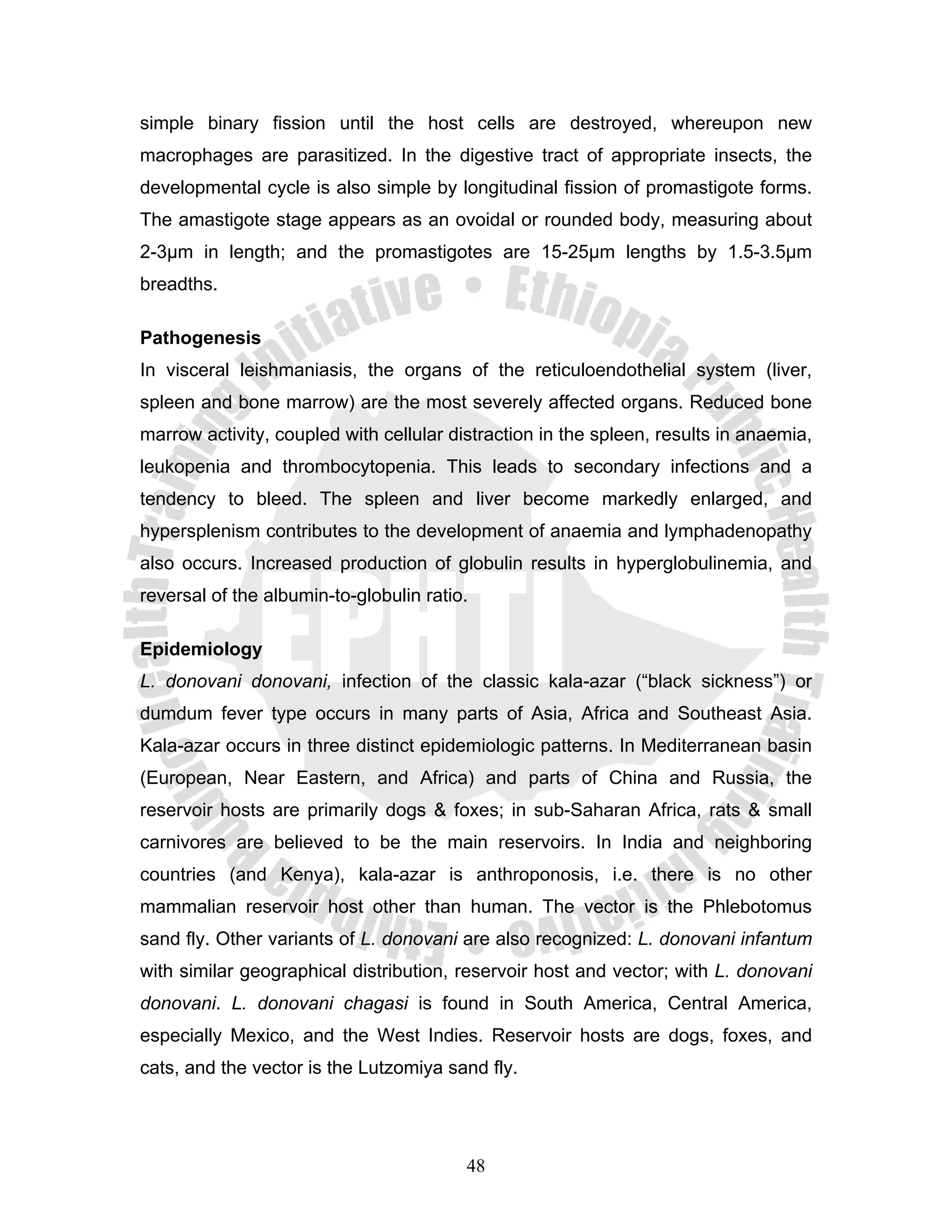 simple binary fission until the host cells are destroyed, whereupon new
macrophages are parasitized. In the digestive tract of appropriate insects, the
developmental cycle is also simple by longitudinal fission of promastigote forms.
The amastigote stage appears as an ovoidal or rounded body, measuring about
2-3μm in length; and the promastigotes are 15-25μm lengths by 1.5-3.5μm
breadths.

Pathogenesis
In visceral leishmaniasis, the organs of the reticuloendothelial system (liver,
spleen and bone marrow) are the most severely affected organs. Reduced bone
marrow activity, coupled with cellular distraction in the spleen, results in anaemia,
leukopenia and thrombocytopenia. This leads to secondary infections and a
tendency to bleed. The spleen and liver become markedly enlarged, and
hypersplenism contributes to the development of anaemia and lymphadenopathy
also occurs. Increased production of globulin results in hyperglobulinemia, and
reversal of the albumin-to-globulin ratio.

Epidemiology
L. donovani donovani, infection of the classic kala-azar (“black sickness”) or
dumdum fever type occurs in many parts of Asia, Africa and Southeast Asia.
Kala-azar occurs in three distinct epidemiologic patterns. In Mediterranean basin
(European, Near Eastern, and Africa) and parts of China and Russia, the
reservoir hosts are primarily dogs & foxes; in sub-Saharan Africa, rats & small
carnivores are believed to be the main reservoirs. In India and neighboring
countries (and Kenya), kala-azar is anthroponosis, i.e. there is no other
mammalian reservoir host other than human. The vector is the Phlebotomus
sand fly. Other variants of L. donovani are also recognized: L. donovani infantum
with similar geographical distribution, reservoir host and vector; with L. donovani
donovani. L. donovani chagasi is found in South America, Central America,
especially Mexico, and the West Indies. Reservoir hosts are dogs, foxes, and
cats, and the vector is the Lutzomiya sand fly.




                                         48
 