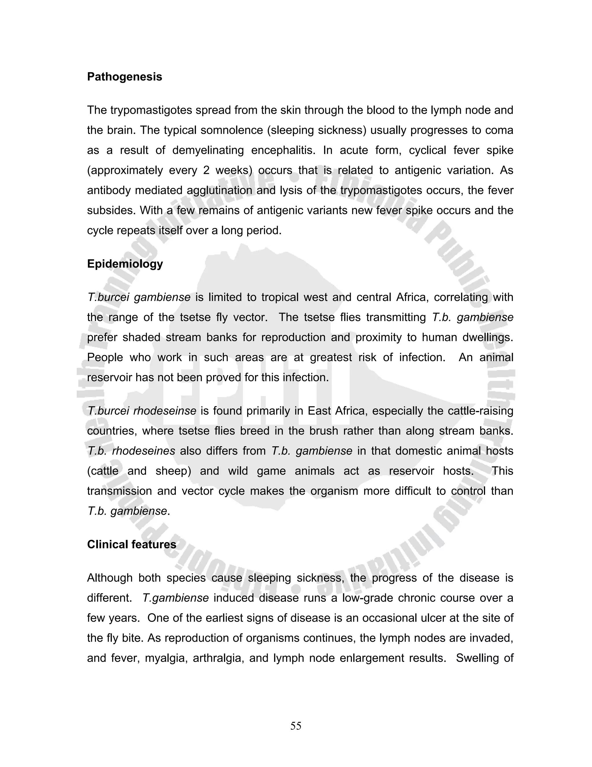 Pathogenesis

The trypomastigotes spread from the skin through the blood to the lymph node and
the brain. The typical somnolence (sleeping sickness) usually progresses to coma
as a result of demyelinating encephalitis. In acute form, cyclical fever spike
(approximately every 2 weeks) occurs that is related to antigenic variation. As
antibody mediated agglutination and lysis of the trypomastigotes occurs, the fever
subsides. With a few remains of antigenic variants new fever spike occurs and the
cycle repeats itself over a long period.

Epidemiology

T.burcei gambiense is limited to tropical west and central Africa, correlating with
the range of the tsetse fly vector. The tsetse flies transmitting T.b. gambiense
prefer shaded stream banks for reproduction and proximity to human dwellings.
People who work in such areas are at greatest risk of infection.          An animal
reservoir has not been proved for this infection.

T.burcei rhodeseinse is found primarily in East Africa, especially the cattle-raising
countries, where tsetse flies breed in the brush rather than along stream banks.
T.b. rhodeseines also differs from T.b. gambiense in that domestic animal hosts
(cattle and sheep) and wild game animals act as reservoir hosts.                This
transmission and vector cycle makes the organism more difficult to control than
T.b. gambiense.

Clinical features

Although both species cause sleeping sickness, the progress of the disease is
different. T.gambiense induced disease runs a low-grade chronic course over a
few years. One of the earliest signs of disease is an occasional ulcer at the site of
the fly bite. As reproduction of organisms continues, the lymph nodes are invaded,
and fever, myalgia, arthralgia, and lymph node enlargement results. Swelling of




                                           55
 