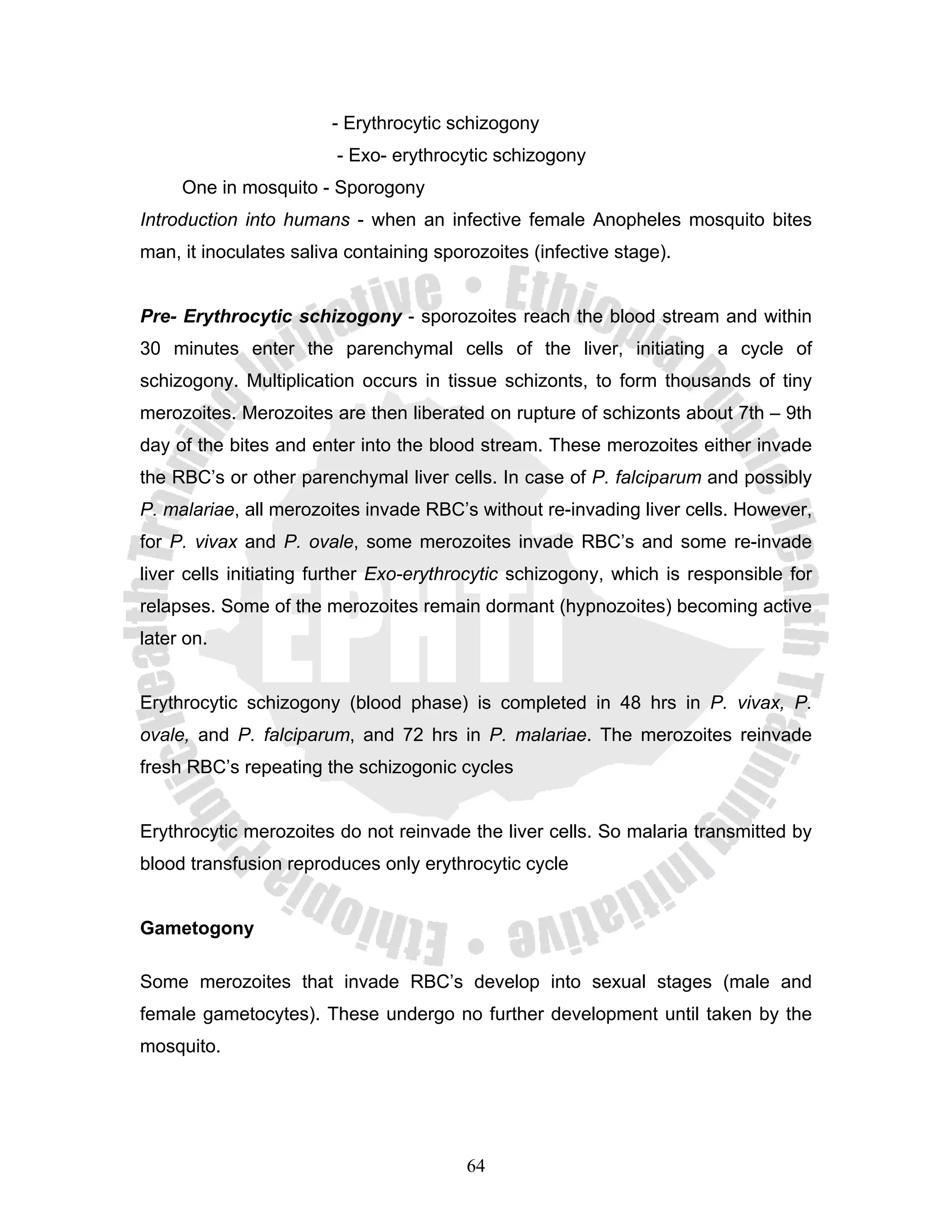 - Erythrocytic schizogony
                        - Exo- erythrocytic schizogony
     One in mosquito - Sporogony
Introduction into humans - when an infective female Anopheles mosquito bites
man, it inoculates saliva containing sporozoites (infective stage).


Pre- Erythrocytic schizogony - sporozoites reach the blood stream and within
30 minutes enter the parenchymal cells of the liver, initiating a cycle of
schizogony. Multiplication occurs in tissue schizonts, to form thousands of tiny
merozoites. Merozoites are then liberated on rupture of schizonts about 7th – 9th
day of the bites and enter into the blood stream. These merozoites either invade
the RBC’s or other parenchymal liver cells. In case of P. falciparum and possibly
P. malariae, all merozoites invade RBC’s without re-invading liver cells. However,
for P. vivax and P. ovale, some merozoites invade RBC’s and some re-invade
liver cells initiating further Exo-erythrocytic schizogony, which is responsible for
relapses. Some of the merozoites remain dormant (hypnozoites) becoming active
later on.


Erythrocytic schizogony (blood phase) is completed in 48 hrs in P. vivax, P.
ovale, and P. falciparum, and 72 hrs in P. malariae. The merozoites reinvade
fresh RBC’s repeating the schizogonic cycles


Erythrocytic merozoites do not reinvade the liver cells. So malaria transmitted by
blood transfusion reproduces only erythrocytic cycle


Gametogony

Some merozoites that invade RBC’s develop into sexual stages (male and
female gametocytes). These undergo no further development until taken by the
mosquito.




                                         64
 