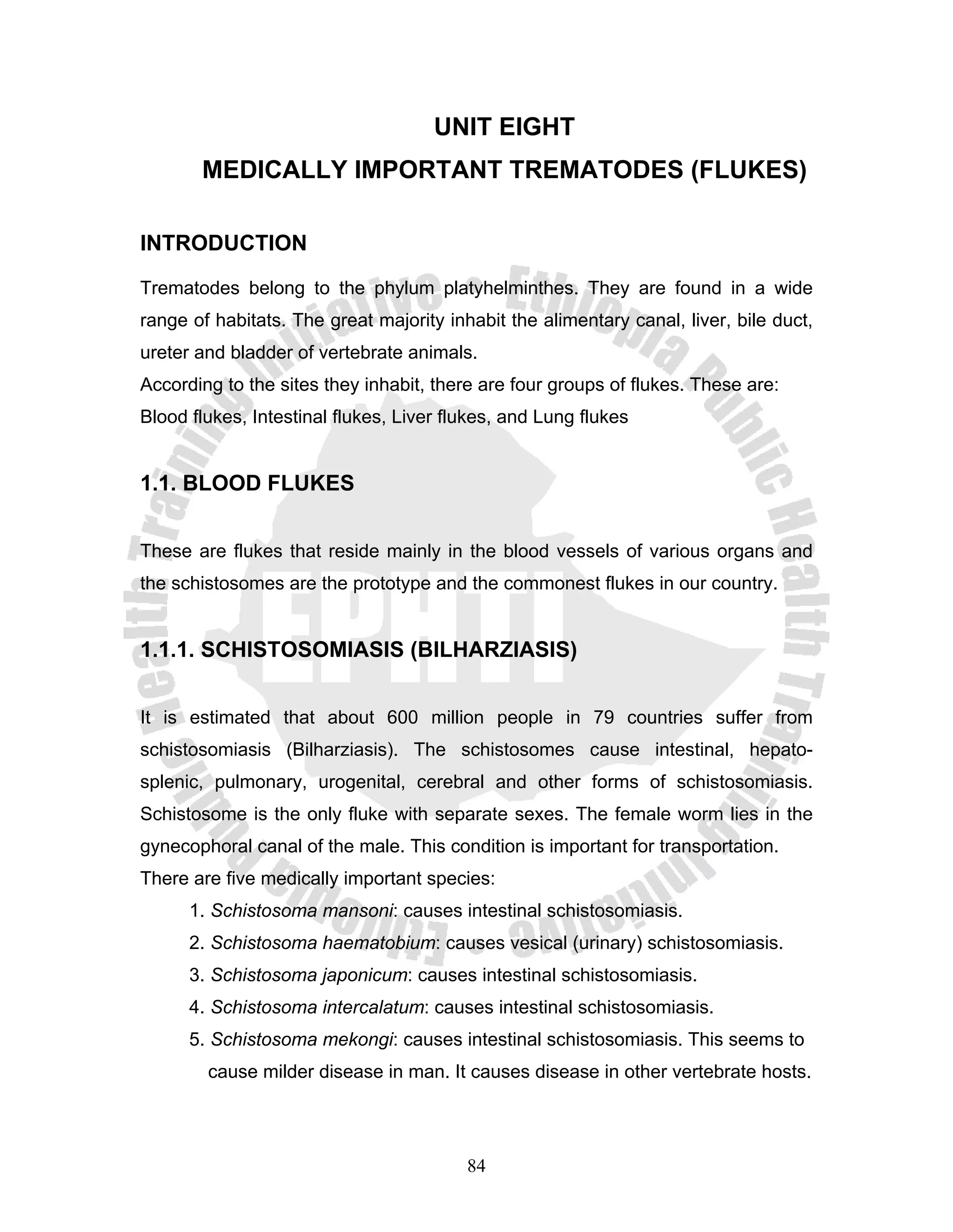 UNIT EIGHT
       MEDICALLY IMPORTANT TREMATODES (FLUKES)

INTRODUCTION

Trematodes belong to the phylum platyhelminthes. They are found in a wide
range of habitats. The great majority inhabit the alimentary canal, liver, bile duct,
ureter and bladder of vertebrate animals.
According to the sites they inhabit, there are four groups of flukes. These are:
Blood flukes, Intestinal flukes, Liver flukes, and Lung flukes


1.1. BLOOD FLUKES


These are flukes that reside mainly in the blood vessels of various organs and
the schistosomes are the prototype and the commonest flukes in our country.


1.1.1. SCHISTOSOMIASIS (BILHARZIASIS)


It is estimated that about 600 million people in 79 countries suffer from
schistosomiasis (Bilharziasis). The schistosomes cause intestinal, hepato-
splenic, pulmonary, urogenital, cerebral and other forms of schistosomiasis.
Schistosome is the only fluke with separate sexes. The female worm lies in the
gynecophoral canal of the male. This condition is important for transportation.
There are five medically important species:
      1. Schistosoma mansoni: causes intestinal schistosomiasis.
      2. Schistosoma haematobium: causes vesical (urinary) schistosomiasis.
      3. Schistosoma japonicum: causes intestinal schistosomiasis.
      4. Schistosoma intercalatum: causes intestinal schistosomiasis.
      5. Schistosoma mekongi: causes intestinal schistosomiasis. This seems to
        cause milder disease in man. It causes disease in other vertebrate hosts.




                                         84
 