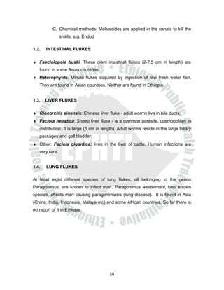C. Chemical methods: Molluscides are applied in the canals to kill the
                snails. e.g. Endod

1.2.   INTESTINAL FLUKES

♦ Fasciolopsis buski: These giant intestinal flukes (2-7.5 cm in length) are
   found in some Asian countries.
♦ Heterophyids: Minute flukes acquired by ingestion of raw fresh water fish.
   They are found in Asian countries. Neither are found in Ethiopia.


1.3.   LIVER FLUKES

♦ Clonorchis sinensis: Chinese liver fluke - adult worms live in bile ducts.
♦ Faciola hepatica: Sheep liver fluke - is a common parasite, cosmopolitan in
   distribution. It is large (3 cm in length). Adult worms reside in the large biliary
   passages and gall bladder.
♦ Other: Faciola gigantica: lives in the liver of cattle. Human infections are
   very rare.


1.4.   LUNG FLUKES

At least eight different species of lung flukes, all belonging to the genus
Paragonimus, are known to infect man. Paragonimus westermani, best known
species, affects man causing paragonimiasis (lung disease). It is found in Asia
(China, India, Indonesia, Malaya etc) and some African countries. So far there is
no report of it in Ethiopia.




                                         89
 