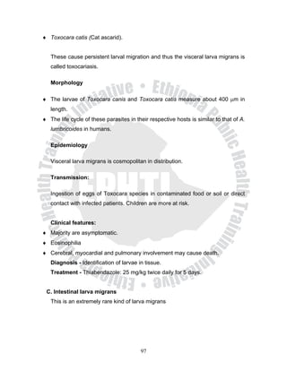 ♦ Toxocara catis (Cat ascarid).


   These cause persistent larval migration and thus the visceral larva migrans is
   called toxocariasis.

   Morphology

♦ The larvae of Toxocara canis and Toxocara catis measure about 400 μm in
   length.
♦ The life cycle of these parasites in their respective hosts is similar to that of A.
   lumbricoides in humans.

   Epidemiology

   Visceral larva migrans is cosmopolitan in distribution.

   Transmission:

   Ingestion of eggs of Toxocara species in contaminated food or soil or direct
   contact with infected patients. Children are more at risk.


   Clinical features:
♦ Majority are asymptomatic.
♦ Eosinophilia
♦ Cerebral, myocardial and pulmonary involvement may cause death.
   Diagnosis - Identification of larvae in tissue.
   Treatment - Thiabendazole: 25 mg/kg twice daily for 5 days.


 C. Intestinal larva migrans
   This is an extremely rare kind of larva migrans




                                         97
 
