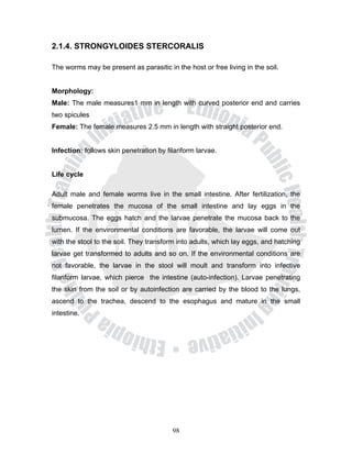 2.1.4. STRONGYLOIDES STERCORALIS

The worms may be present as parasitic in the host or free living in the soil.


Morphology:
Male: The male measures1 mm in length with curved posterior end and carries
two spicules
Female: The female measures 2.5 mm in length with straight posterior end.


Infection: follows skin penetration by filariform larvae.


Life cycle

Adult male and female worms live in the small intestine. After fertilization, the
female penetrates the mucosa of the small intestine and lay eggs in the
submucosa. The eggs hatch and the larvae penetrate the mucosa back to the
lumen. If the environmental conditions are favorable, the larvae will come out
with the stool to the soil. They transform into adults, which lay eggs, and hatching
larvae get transformed to adults and so on. If the environmental conditions are
not favorable, the larvae in the stool will moult and transform into infective
filariform larvae, which pierce the intestine (auto-infection). Larvae penetrating
the skin from the soil or by autoinfection are carried by the blood to the lungs,
ascend to the trachea, descend to the esophagus and mature in the small
intestine.




                                         98
 