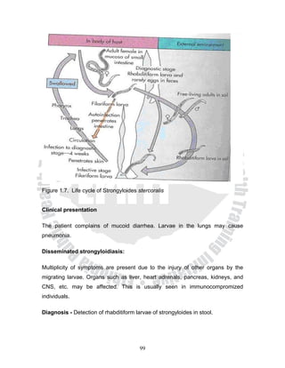 Figure 1.7. Life cycle of Strongyloides stercoralis


Clinical presentation

The patient complains of mucoid diarrhea. Larvae in the lungs may cause
pneumonia.

Disseminated strongyloidiasis:

Multiplicity of symptoms are present due to the injury of other organs by the
migrating larvae. Organs such as liver, heart adrenals, pancreas, kidneys, and
CNS, etc. may be affected. This is usually seen in immunocompromized
individuals.

Diagnosis - Detection of rhabditiform larvae of strongyloides in stool.




                                        99
 