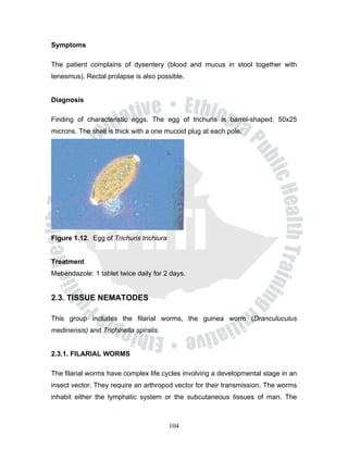 Symptoms

The patient complains of dysentery (blood and mucus in stool together with
tenesmus). Rectal prolapse is also possible.


Diagnosis

Finding of characteristic eggs. The egg of trichuris is barrel-shaped, 50x25
microns. The shell is thick with a one mucoid plug at each pole.




Figure 1.12. Egg of Trichuris trichiura


Treatment
Mebendazole: 1 tablet twice daily for 2 days.


2.3. TISSUE NEMATODES

This group includes the filarial worms, the guinea worm (Dranculuculus
medinensis) and Trichinella spiralis.


2.3.1. FILARIAL WORMS

The filarial worms have complex life cycles involving a developmental stage in an
insect vector. They require an arthropod vector for their transmission. The worms
inhabit either the lymphatic system or the subcutaneous tissues of man. The



                                          104
 
