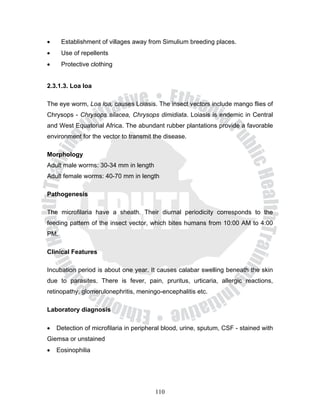•     Establishment of villages away from Simulium breeding places.
•     Use of repellents
•     Protective clothing


2.3.1.3. Loa loa

The eye worm, Loa loa, causes Loiasis. The insect vectors include mango flies of
Chrysops - Chrysops silacea, Chrysops dimidiata. Loiasis is endemic in Central
and West Equatorial Africa. The abundant rubber plantations provide a favorable
environment for the vector to transmit the disease.

Morphology
Adult male worms: 30-34 mm in length
Adult female worms: 40-70 mm in length

Pathogenesis

The microfilaria have a sheath. Their diurnal periodicity corresponds to the
feeding pattern of the insect vector, which bites humans from 10:00 AM to 4:00
PM.

Clinical Features

Incubation period is about one year. It causes calabar swelling beneath the skin
due to parasites. There is fever, pain, pruritus, urticaria, allergic reactions,
retinopathy, glomerulonephritis, meningo-encephalitis etc.

Laboratory diagnosis

•   Detection of microfilaria in peripheral blood, urine, sputum, CSF - stained with
Giemsa or unstained
•   Eosinophilia




                                        110
 