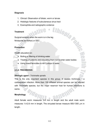 Diagnosis

   1. Clinical: Observation of blister, worm or larvae
   2. Histologic features of subcutaneous sinus tract
   3. Eosinophilia and radiographic evidence


Treatment

Surgical excision when the worm is in the leg
Niridazole (Ambilhar) or DEC


Prevention

Health education on:
   ♦ Boiling or filtering of drinking water
   ♦ Treating of patients and educating them not to enter water bodies
   ♦ Using insect larvicides to kill Cyclops in water.


2.3.3. TRICHINOSIS

Etiologic agent - Trichinella spiralis
This is the only important species in this group. It causes trichinosis - a
cosmopolitan infection. More than 100 different animal species can be infected
with Trichinella species, but the major reservoir host for human infections is
swine.

Morphology

Adult female worm measures 3-4 mm in length and the adult male worm
measures 1.4-2.6 mm in length. The encysted larvae measure 800-1300 μm in
length.




                                         113
 