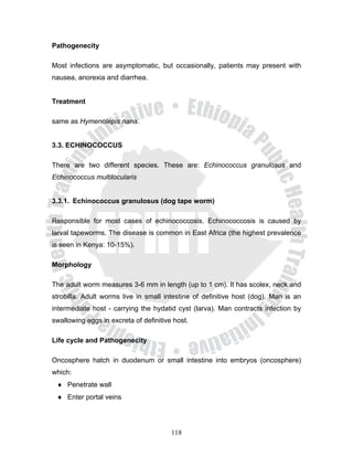 Pathogenecity

Most infections are asymptomatic, but occasionally, patients may present with
nausea, anorexia and diarrhea.


Treatment

same as Hymenolepis nana.


3.3. ECHINOCOCCUS

There are two different species. These are: Echinococcus granulosus and
Echinococcus multilocularis


3.3.1. Echinococcus granulosus (dog tape worm)

Responsible for most cases of echinococcosis. Echinococcosis is caused by
larval tapeworms. The disease is common in East Africa (the highest prevalence
is seen in Kenya: 10-15%).

Morphology

The adult worm measures 3-6 mm in length (up to 1 cm). It has scolex, neck and
strobilla. Adult worms live in small intestine of definitive host (dog). Man is an
intermediate host - carrying the hydatid cyst (larva). Man contracts infection by
swallowing eggs in excreta of definitive host.

Life cycle and Pathogenecity

Oncosphere hatch in duodenum or small intestine into embryos (oncosphere)
which:
 ♦ Penetrate wall
 ♦ Enter portal veins




                                        118
 