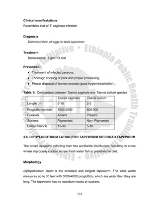 Clinical manifestations
Resembles that of T. saginata infection


Diagnosis
   Demonstration of eggs in stool specimen


Treatment
   Niclosamide: 2 gm PO stat

Prevention:
  ♦ Treatment of infected persons.
  ♦ Thorough cooking of pork and proper processing
  ♦ Proper disposal of human excreta (good hygiene/sanitation).

Table 1: Comparison between Taenia saginata and Taenia solium species
                          Taenia saginata     Taenia solium
  Length (m)              5-10                2-3
  Proglottid number       1000-2000           800-900
  Hooklets                Absent              Present
  Suckers                 Pigmented           Non- Pigmented
  Uterus branch           15-30               5-10


3.6. DIPHYLOBOTRIUM LATUM (FISH TAPEWORM OR BROAD TAPEWORM

The broad tapeworm infecting man has worldwide distribution, occurring in areas
where improperly cooked or raw fresh water fish is prominent in diet.


Morphology

Diphylobotrium latum is the broadest and longest tapeworm. The adult worm
measures up to 30 feet with 3000-4000 proglottids, which are wider than they are
long. The tapeworm has no rostellum hooks or suckers.


                                       124
 