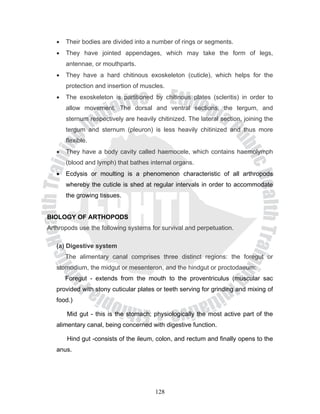 •   Their bodies are divided into a number of rings or segments.
   •   They have jointed appendages, which may take the form of legs,
       antennae, or mouthparts.
   •   They have a hard chitinous exoskeleton (cuticle), which helps for the
       protection and insertion of muscles.
   •   The exoskeleton is partitioned by chitinous plates (scleritis) in order to
       allow movement. The dorsal and ventral sections, the tergum, and
       sternum respectively are heavily chitinized. The lateral section, joining the
       tergum and sternum (pleuron) is less heavily chitinized and thus more
       flexible.
   •   They have a body cavity called haemocele, which contains haemolymph
       (blood and lymph) that bathes internal organs.
   •   Ecdysis or moulting is a phenomenon characteristic of all arthropods
       whereby the cuticle is shed at regular intervals in order to accommodate
       the growing tissues.


BIOLOGY OF ARTHOPODS
Arthropods use the following systems for survival and perpetuation.

   (a) Digestive system
       The alimentary canal comprises three distinct regions: the foregut or
   stomodium, the midgut or mesenteron, and the hindgut or proctodaeum:
       Foregut - extends from the mouth to the proventriculus (muscular sac
   provided with stony cuticular plates or teeth serving for grinding and mixing of
   food.)

       Mid gut - this is the stomach; physiologically the most active part of the
   alimentary canal, being concerned with digestive function.

       Hind gut -consists of the ileum, colon, and rectum and finally opens to the
   anus.




                                        128
 