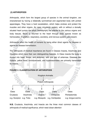 (3) ARTHROPODS

Arthropods, which form the largest group of species in the animal kingdom, are
characterized by having a bilaterally symmetrical and segmented body with jointed
appendages. They have a hard exoskeleton, which helps enclose and protect the
muscles and other organs. An open circulatory system, with or without a dorsally
situated heart pumps the blood (hemolymph) via arteries to the various organs and
body tissues. Blood is returned to the heart through body spaces known as
hemocoeles. In addition, respiratory, excretory, and nervous systems are present.

Arthropods affect the health of humans by being either direct agents for disease or
agents for disease transmission.

The arthropods of medical importance are found in Classes Insecta, Arachnida, and
Crustacia which have their own distinguishing features. In Class insecta the body is
divided into head, thorax, and abdomen, with one pair of antennae. Diseases like
malaria, yellow fever, onchocerciasis, and trypanasomiasis are primarily transmitted
by insects.


FIGURE 2. CLASSIFICATION OF ARTHROPODS

                                   Kingdom Animalia


                                   Phylum Arthropoda




Class             Class             Class               Class          Class
Crustacia       Arachnida           Insecta            Chilopoda     Pentastomida
e.g. Scorpion e.g. Ticks      e.g. Mosquito        e.g. Centipedes   e.g. tongue worms


N.B. Crustacia, Arachnida, and Insecta are the three most common classes of
arthropods of medical significance, which need closer attention



                                              14
 
