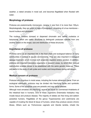 weather, a naked amoeba in moist soil, and becomes flagellated when flooded with
water.


Morphology of protozoa

Protozoa are predominantly microscopic, ranging in size from 2 to more than 100μm.
Morphologically, they are within a mass of protoplasm, consisting of a true membrane –
bound nucleus and cytoplasm.

The nucleus contains clumped or dispersed chromatin and central nucleolus or
karyosome, which are useful structures to distinguish protozoan species from one
another based on the shape, size and distribution of these structures.


Importance of protozoa

Protozoa serve as an important link in the food chain and ecological balance of many
communities in wetland & aquatic environments. They are also important in biological
sewage treatment, which involves both anaerobic digestion and/or aeration. In addition,
protozoa are important laboratory organisms in research areas, by which their asexual
reproduction enables clones to be established with the same genetic make-up. These
are useful in the study of cell cycles and nucleic acid biosynthesis during cell division.


Medical concern of protozoa

Protozoa are ubiquitous in moist areas, including the human alimentary canal. From an
ecological standpoint, protozoa may be divided into free-living forms and symbiotic
forms. Some of the symbiotic ones are parasitic and may cause disease.
Although most amoebas are free-living, several are found as commensal inhabitants of
the intestinal tract in humans. One of these organisms Entamoeba histolytica may
invade tissue and produce disease. The majority of ciliates are free living and seldom
parasitize humans. Flagellates of the genus Trypanosomes and Leishmania are
capable of invading the blood & tissue of humans, where they produce severe chronic
illness. Others such as Trichomonas vaginalis and Giardia lamblia, inhabit the


                                            18
 