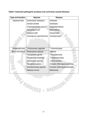 Table-1 Important pathogenic protozoa and commonly caused diseases.


 Type and location             Species                   Disease
    Intestinal tract   Entamoeba histolytica      Ambiasis
                       Giardia lamblia            Giardiasis
                       Cryptosporidium parvum     Cryptosporidiosis
                       Balantidium coli           Balantidiasis
                       Isospora belli             Isosporiosis
                       Cyclospora cayentanensis   Cyclosporiasis




    Urogenital tract   Trichomonas vaginalis      Trichomoniasis
   Blood and tissue    Plasmodium species         Malaria
                       Toxoplasma gondii          Toxoplasmosis
                       Trypanasoma species        Trypanosomiasis
                       Leishmania species         Leishmaniasis
                       Naegleria species          Amoebic Meningoencephalitis
                       Acanthamoeba species       Amoebic Meningoencephalitis
                       Babesia microti            Babesiosis




                                           21
 