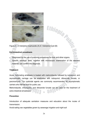 Figure 2-, E.histolytica trophozoite (A) E. histolytica Cyst (B)


Extraintestinal amoebiasis

•   Diagnosed by the use of scanning procedures for liver and other organs.
•   Specific serologic tests, together with microscopic examination of the abscess
    material, can confirm the diagnosis.


Treatment

Acute, fulminating amebiasis is treated with metrondiazole followed by iodoquinol, and
asymptomatic carriage can be eradicated with iodoquinol, diloxanide furoate, or
paromomycin. The cysticidal agents are commonly recommended for asymptomatic
carriers who handle food for public use.
Metronidazole, chloroquine, and diloxanide furoate can be used for the treatment of
extra intestinal amoebiasis.

Prevention

Introduction of adequate sanitation measures and education about the routes of
transmission.
Avoid eating raw vegetables grown by sewerage irrigation and night soil


                                            26
 