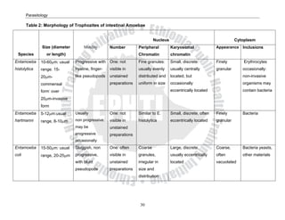 Parasitology

       Table 2: Morphology of Trophozites of intestinal Amoebae


                                                                           Nucleus                                       Cytoplasm
               Size (diameter        Motility      Number         Peripheral         Karyosomal               Appearance Inclusions
  Species         or length)                                      Chromatin          chromatin
Entamoeba      10-60μm: usual   Progressive with One: not         Fine granules:     Small, discrete:         Finely         Erythrocytes
histolytica    range. 15-       hyaline, finger-   visible in     usually evenly     usually centrally        granular      occasionally:
               20μm-            like pseudopods    unstained      distributed and    located, but                           non-invasive
               commensal                           preparations   uniform in size    occasionally                           organisms may
               form- over                                                            eccentrically located                  contain bacteria

               20μm-invasive
               form
Entamoeba      5-12μm:usual     Usually            One: not       Similar to E.      Small, discrete, often   Finely        Bacteria
hartmanni      range, 8-10μm    non progressive:   visible in     histolytica        eccentrically located    granular
                                may be             unstained
                                progressive        preparations
                                occasionally
Entamoeba      15-50μm: usual   Sluggish, non      One: often     Coarse             Large, discrete,         Coarse,       Bacteria yeasts,
coli           range, 20-25μm   progressive,       visible in     granules,          usually eccentrically    often         other materials
                                with blunt         unstained      irregular in       located                  vacuolated
                                pseudopods         preparations   size and
                                                                  distribution




                                                                   30
 