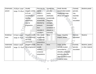 Entamoeba    10-25μm: usual   Usually             One:may be      Usually fine   Small, discrete,          Coarsely     Bacteria yeasts
ploecki      range, 15 -20μm sluggish, similar    slightly        granules       eccentrically located:    granular,
                              to E.coli;          visible in      evenly         occasionally large,       may
                              occasionally in     unstained       distributed,   diffuse, or irregular     resemble
                              diarrheic           preparations:   occasionally                             E.coli;
                              speciments,         occasionally    irregularly                              vacuolated
                              may be              distorted by    arranged,
                              progressive         pressure        chromatin
                                                  from            sometimes in
                                                  vacuoles in     plaques or
                                                  cytoplasm       crescents
Endolimax    6-12μm: usual    Sluggish, usually   One: visible    None           Large, irregularly        Granular,    Bacteria
nana         range, 8 -10μm   non- progressive, occasionally                     shaped, blotlike          vacuolated
                              with blunt          in unstained
                              psedopods           preparations
Iodamoeba    8-20μm: usual    Sluggish usually    One: not        None           Large, usually            Coarsely     Bacteria, yeasts,
buetschlii   range, 12 -15μm non-progressive      usually                        centrally located,        granular,    or other material
                                                  visible in                     surrounded by             vacuolated
                                                  unstained                      refractile, achromatic
                                                  preparations                   granules: granules
                                                                                 often not distinct even
                                                                                 in stained slides




                                                                   31
 