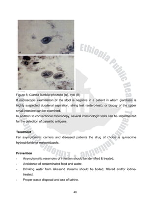 Figure 5; Giardia lamblia tphozoite (A), cyst (B)
If microscopic examination of the stool is negative in a patient in whom giardiasis is
highly suspected duodenal aspiration, string test (entero-test), or biopsy of the upper
small intestine can be examined.
In addition to conventional microscopy, several immunologic tests can be implemented
for the detection of parasitic antigens.


Treatment
For asymptomatic carriers and diseased patients the drug of choice is quinacrine
hydrochloride or metronidazole.


Prevention
-    Asymptomatic reservoirs of infection should be identified & treated.
-    Avoidance of contaminated food and water.
-    Drinking water from lakesand streams should be boiled, filtered and/or iodine-
     treated.
-    Proper waste disposal and use of latrine.



                                           40
 