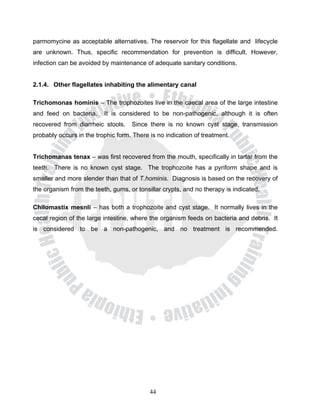 parmomycine as acceptable alternatives. The reservoir for this flagellate and lifecycle
are unknown. Thus, specific recommendation for prevention is difficult. However,
infection can be avoided by maintenance of adequate sanitary conditions.


2.1.4. Other flagellates inhabiting the alimentary canal

Trichomonas hominis – The trophozoites live in the caecal area of the large intestine
and feed on bacteria.     It is considered to be non-pathogenic, although it is often
recovered from diarrheic stools.    Since there is no known cyst stage, transmission
probably occurs in the trophic form. There is no indication of treatment.


Trichomanas tenax – was first recovered from the mouth, specifically in tartar from the
teeth. There is no known cyst stage. The trophozoite has a pyriform shape and is
smaller and more slender than that of T.hominis. Diagnosis is based on the recovery of
the organism from the teeth, gums, or tonsillar crypts, and no therapy is indicated.

Chilomastix mesnli – has both a trophozoite and cyst stage. It normally lives in the
cecal region of the large intestine, where the organism feeds on bacteria and debris. It
is considered to be a non-pathogenic, and no treatment is recommended.




                                           44
 