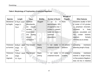 Parasitology



     Table 4: Morphology of Trophozoites of intestinal Flagellates


                                                                                             Number of
 Species            Length             Shape           Motility   Number of Nuclei            Flagella           Other features
Dientamoe     5-15μm: usual      Ameboid;            Sluggish     1      or     2;      in None            Karysome usually in form
ba fragilis   range, 9 -         pseudopodia                      approximately 40%                        of cluster of 4-8 grnules;
              12μm               are      angular,                of organisms only 1                      no peripheral chromatin;
                                 serrated,      or                nucleus is present;                      cytoplasm        is      finely
                                 broad-lobed                      nuclei not visible in                    granular, vacuolated, and
                                 and      hyaline,                unstained                                may    contain        bacteria;
                                 almost                           preparations                             organism              formerly
                                 transparent                                                               classified as an ameba


Trichomon     8-20μm: usual Pear-shaped              Rapid,       1;    not   visible   in 3-5 anterior; 1 Undulating        membrane
as hominis    range,    11   -                       jerking      unstained mounts         posterior       extending length of body
              12μm
Trichomon     7-23μm: usual Pear-shaped              Rapid,       1;    not   visible   in 3-5 anterior; 1 Undulating        membrane
as            range,                                 jerking      unstained mounts         posterior       extends ½ length of body:
Vaginalis     10 -15μm                                                                                     no free posterior flagellum;
                                                                                                           does not live in intestinal




                                                                   45
 
