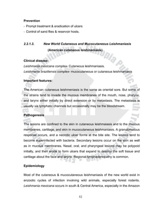 Prevention
- Prompt treatment & eradication of ulcers
- Control of sand flies & reservoir hosts.


2.2.1.3.      New World Cutaneous and Mucocutaneous Leishmaniasis
                  (American cutaneous leishmaniasis)


Clinical disease:
Leishmania mexicana complex- Cutaneous leishmaniasis.
Leishmania braziliensis complex- mucocutaneous or cutaneous leishmaniasis

Important features:

The American cutaneous leishmeniasis is the same as oriental sore. But some of
the strains tend to invade the mucous membranes of the mouth, nose, pharynx,
and larynx either initially by direct extension or by metastasis. The metastasis is
usually via lymphatic channels but occasionally may be the bloodstream.

Pathogenesis

The lesions are confined to the skin in cutaneous leishmaiasis and to the mucous
membranes, cartilage, and skin in mucocutaneous leishmaniasis. A granulomatous
response occurs, and a necrotic ulcer forms at the bite site. The lesions tend to
become superinfected with bacteria. Secondary lesions occur on the skin as well
as in mucous membranes. Nasal, oral, and pharyngeal lesions may be polypoid
initially, and then erode to form ulcers that expand to destroy the soft tissue and
cartilage about the face and larynx. Regional lymphadenopathy is common.

Epidemiology

Most of the cutaneous & mucocutaneous leishmaniasis of the new world exist in
enzootic cycles of infection involving wild animals, especially forest rodents.
Leishmania mexicana occurs in south & Central America, especially in the Amazon


                                         52
 