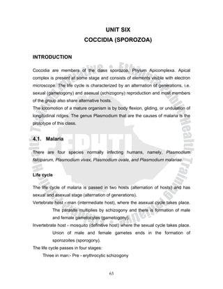 UNIT SIX
                           COCCIDIA (SPOROZOA)

INTRODUCTION

Coccidia are members of the class sporozoa, Phylum Apicomplexa. Apical
complex is present at some stage and consists of elements visible with electron
microscope. The life cycle is characterized by an alternation of generations, i.e.
sexual (gametogony) and asexual (schizogony) reproduction and most members
of the group also share alternative hosts.
The locomotion of a mature organism is by body flexion, gliding, or undulation of
longitudinal ridges. The genus Plasmodium that are the causes of malaria is the
prototype of this class.


4.1. Malaria

There are four species normally infecting humans, namely, Plasmodium
falciparum, Plasmodium vivax, Plasmodium ovale, and Plasmodium malariae.


Life cycle

The life cycle of malaria is passed in two hosts (alternation of hosts) and has
sexual and asexual stage (alternation of generations).
Vertebrate host - man (intermediate host), where the asexual cycle takes place.
          The parasite multiplies by schizogony and there is formation of male
          and female gametocytes (gametogony).
Invertebrate host - mosquito (definitive host) where the sexual cycle takes place.
          Union of male and female gametes ends in the formation of
          sporozoites (sporogony).
The life cycle passes in four stages:
     Three in man:- Pre - erythrocytic schizogony



                                         63
 