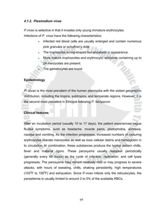 4.1.2. Plasmodium vivax

P.vivax is selective in that it invades only young immature erythrocytes.
Infections of P. vivax have the following characteristics:
          •   Infected red blood cells are usually enlarged and contain numerous
              pink granules or schuffner’s dots.
          •   The trophozoite is ring-shaped but amoeboid in appearance.
          •   More mature trophozoites and erythrocytic schizonts containing up to
              24 merozoites are present.
          •   The gametocytes are round


Epidemiology


P. Vivax is the most prevalent of the human plasmodia with the widest geographic
distribution, including the tropics, subtropics, and temperate regions. However, it is
the second most prevalent in Ethiopia following P. falciparum


Clinical features


After an incubation period (usually 10 to 17 days), the patient experiences vague
flu-like symptoms, such as headache, muscle pains, photophobia, anorexia,
nausea and vomiting. As the infection progresses, increased numbers of rupturing
erythrocytes liberate merozoites as well as toxic cellular debris and hemoglobin in
to circulation. In combination, these substances produce the typical pattern chills,
fever and malarial rigors. These paroxysms usually reappear periodically
(generally every 48 hours) as the cycle of infection, replication, and cell lyses
progresses. The paroxysms may remain relatively mild or may progress to severe
attacks, with hours of sweating, chills, shaking persistently, high temperatures
(1030F to 1060F) and exhaustion. Since P.vivax infects only the reticulocytes, the
parasitemia is usually limited to around 2 to 5% of the available RBCs.




                                         69
 