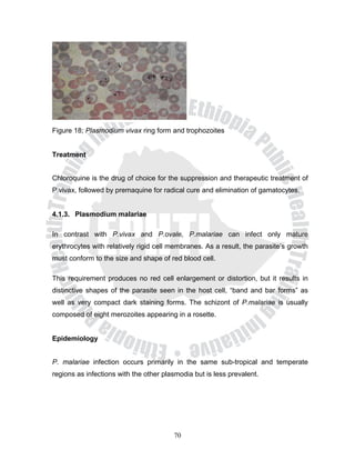 Figure 18; Plasmodium vivax ring form and trophozoites


Treatment


Chloroquine is the drug of choice for the suppression and therapeutic treatment of
P.vivax, followed by premaquine for radical cure and elimination of gamatocytes.


4.1.3. Plasmodium malariae

In contrast with P.vivax and P.ovale, P.malariae can infect only mature
erythrocytes with relatively rigid cell membranes. As a result, the parasite’s growth
must conform to the size and shape of red blood cell.

This requirement produces no red cell enlargement or distortion, but it results in
distinctive shapes of the parasite seen in the host cell, “band and bar forms” as
well as very compact dark staining forms. The schizont of P.malariae is usually
composed of eight merozoites appearing in a rosette.


Epidemiology


P. malariae infection occurs primarily in the same sub-tropical and temperate
regions as infections with the other plasmodia but is less prevalent.




                                        70
 