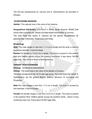 The first two schistosomes (S. mansoni and S. haematobium) are prevalent in
Ethiopia.


SCHISTOSOMA MANSONI
Habitat - This species lives in the veins of the intestine.

Geographical distribution: It is found in Africa, South America, Middle East
(some Arab countries) etc. Stream and lake-based transmission is common.
The snail hosts that harbor S. mansoni are the genera: Biomphalaria (B.
glabrata) and Trobicorbis. These have oval shells.

Morphology
Male: The male ranges in size from 1-1.4 cm in length and the body is covered
by coarse tubercles. It has 6-9 testes
Female:The female is 1.5-2.0 cm in length. The ovary is present in the anterior
third and Vitelline glands occupy the posterior two-thirds. It lays about 100-300
eggs daily. The uterus is short containing few ova.

URINARY SCISTOSOMIASIS
Etiology - Schistosoma haematobium
Habitat - The worm lives in the veins of the bladder of humans.
The peak prevalence is the 10-14 year age group. The snail hosts that harbor S.
haematobium are the genera Bulinus (Bulinus africanus, B. truncatus) and
Physopsis.

Male:The male ranges in size from 1-1.5 cm in length. The body is covered by
fine tubercles. It has 4-5 testes.

Female:The female ranges in size from 2-2.5 cm in length. The ovary is present
in the posterior third. Vitelline glands occupy the posterior thirds. Uterus is long
containing many ova. It lays about 20-200 eggs daily.




                                          85
 
