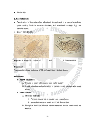 ♦ Rectal snip


S. haematobium:
♦ Examination of the urine after allowing it to sediment in a conical urinalysis
   glass. A drop from the sediment is taken and examined for eggs. Egg has
   terminal spine.
♦ Biopsy from bladder




Figure 1.2. Eggs of S. mansoni              and            S. haematobium


Treatment:
Praziquantel: single oral dose of 40 mg/kg divided into two doses.


Prevention:
   1. Health education:
          A. On use of clean latrines and safe water supply
          B. Avoid urination and defecation in canals, avoid contact with canal
              water
   2. Snail control:
          A. Physical methods:
                 i. Periodic clearance of canals from vegetations.
                 ii. Manual removal of snails and their destruction.
          B. Biological methods: Use of natural enemies to the snails such as
              Marisa.



                                       88
 
