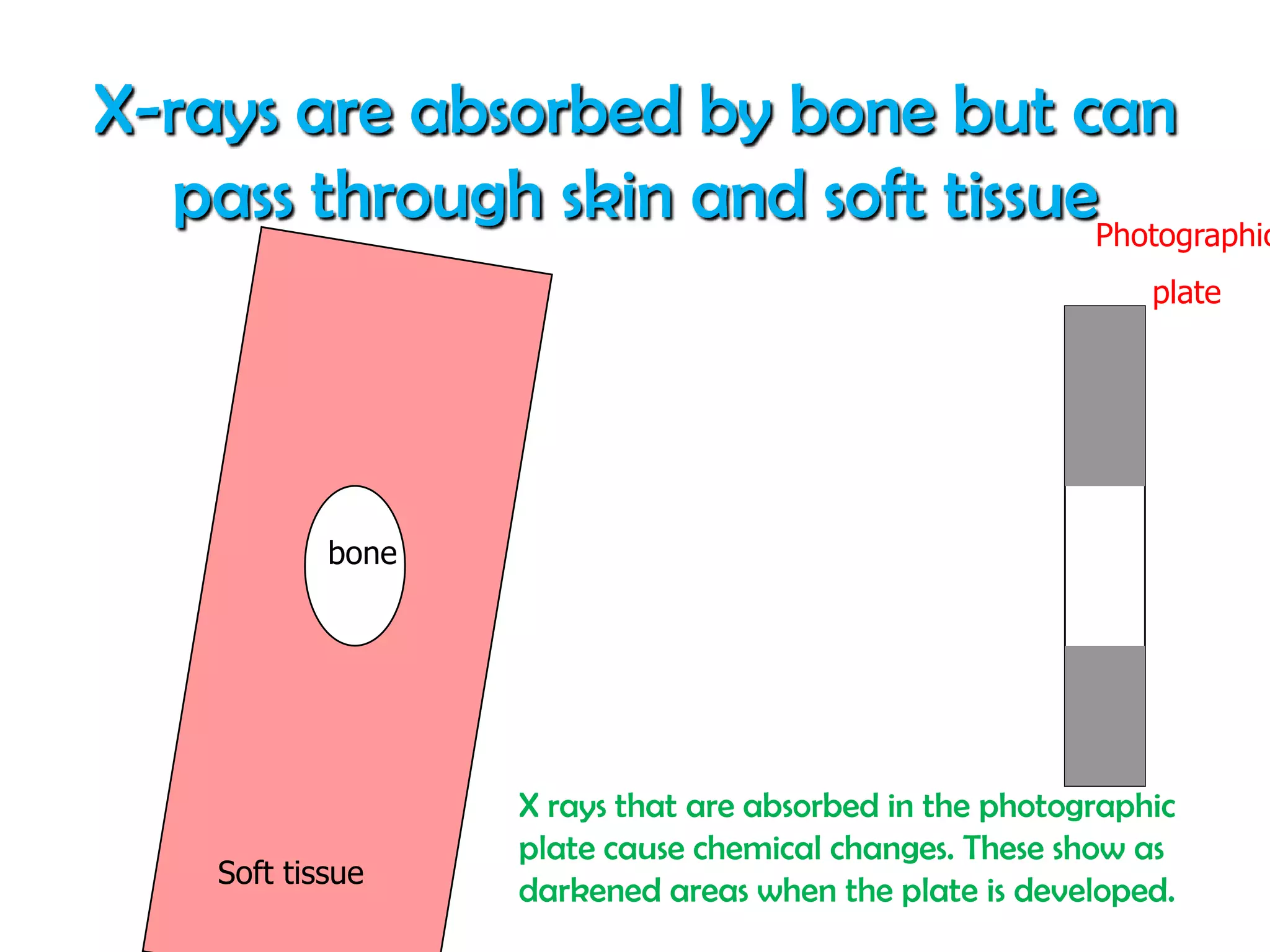 Medical physics slide show | PPSX
