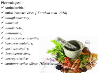 botanical-and-pharmacological-characteristics-of-the-most-popular