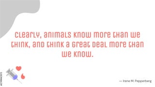 SLIDESMANIA.COM
Clearly, animals know more than we
think, and think a great deal more than
we know.
― Irene M. Pepperberg
 